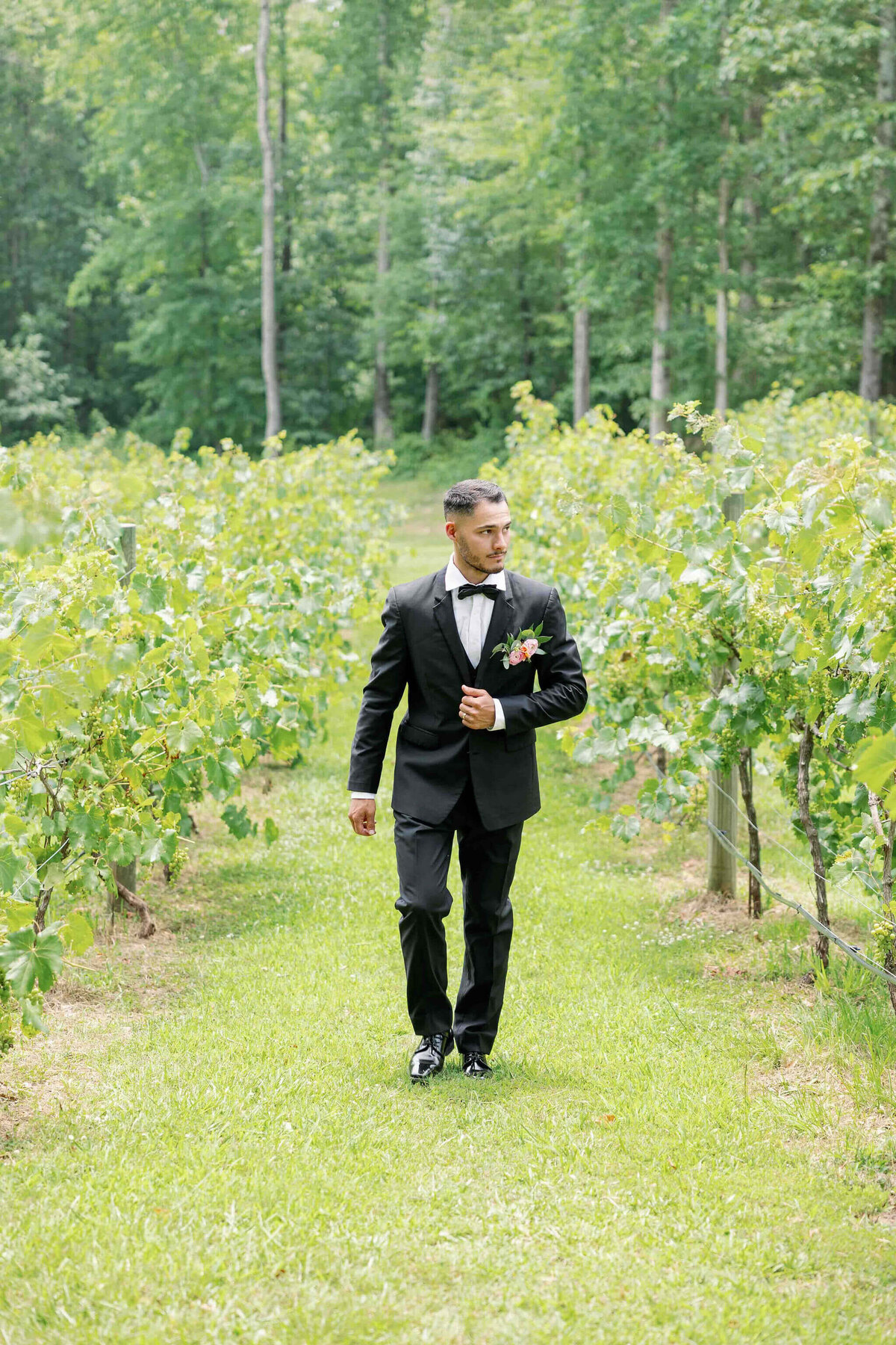 Groom walking through the vineyards