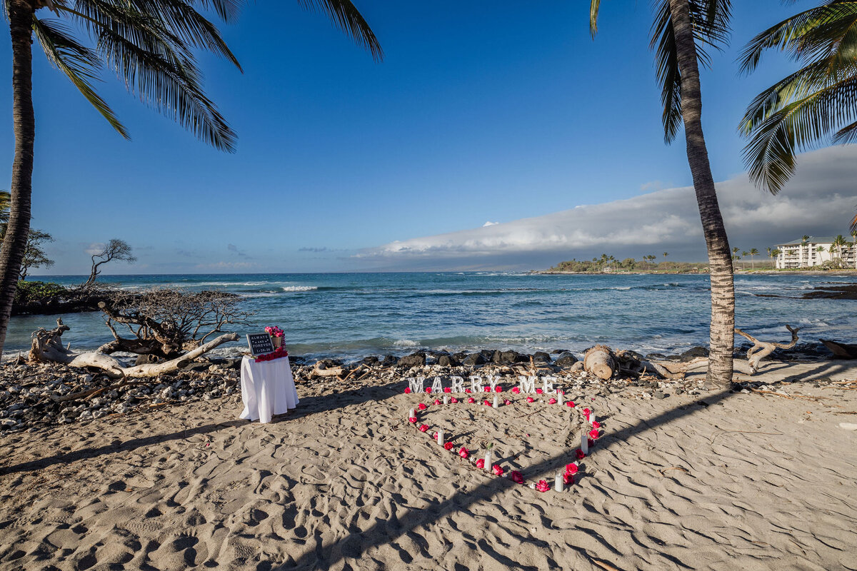 Hawaii-Proposal-Big-Island-Engagement (1)