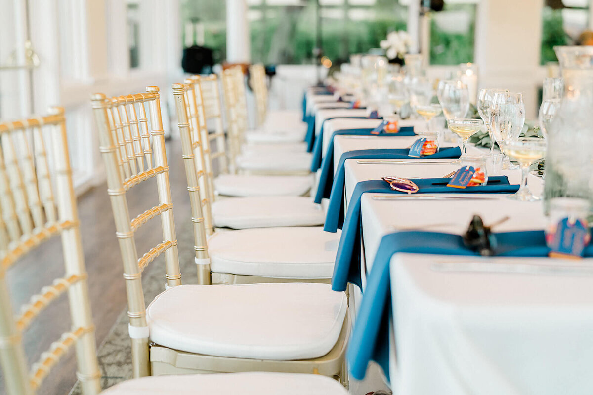 Bridal portrait captured by Vanessa Montano Photography – Livermore vineyard at sunset.