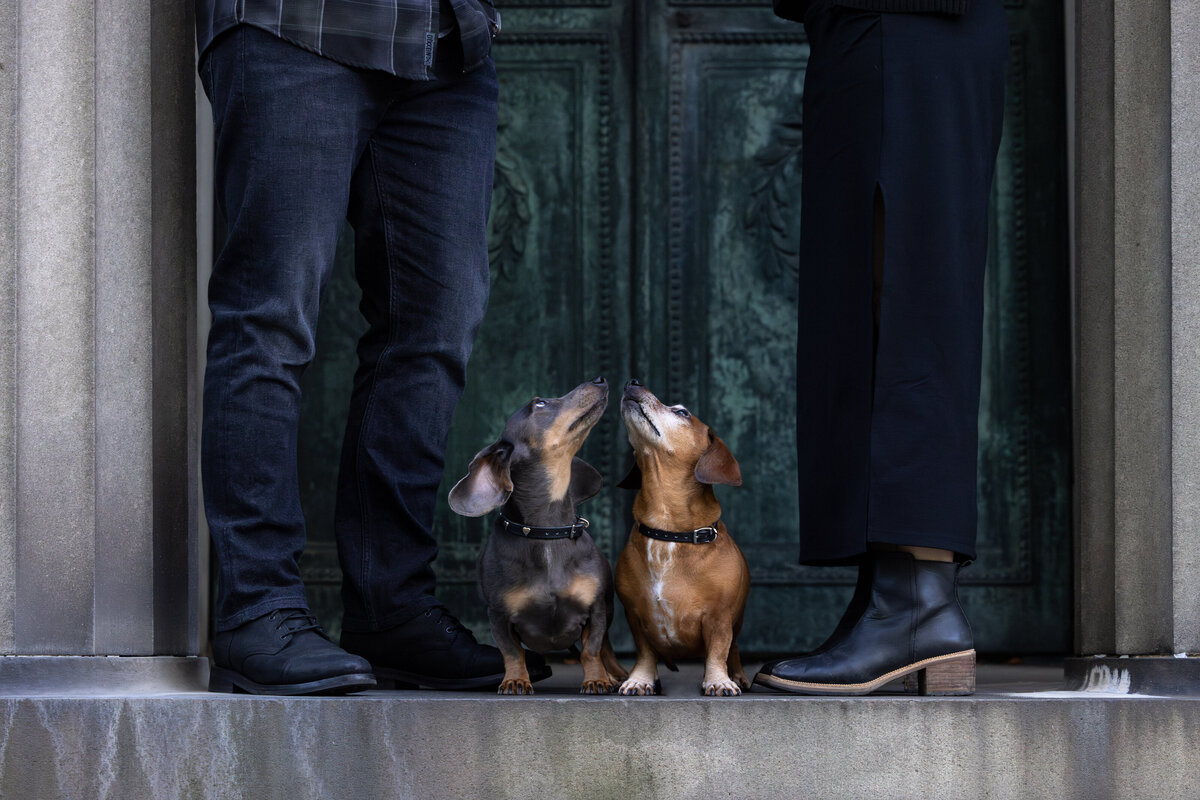 Pet photos outdoors Cleveland Ohio--21