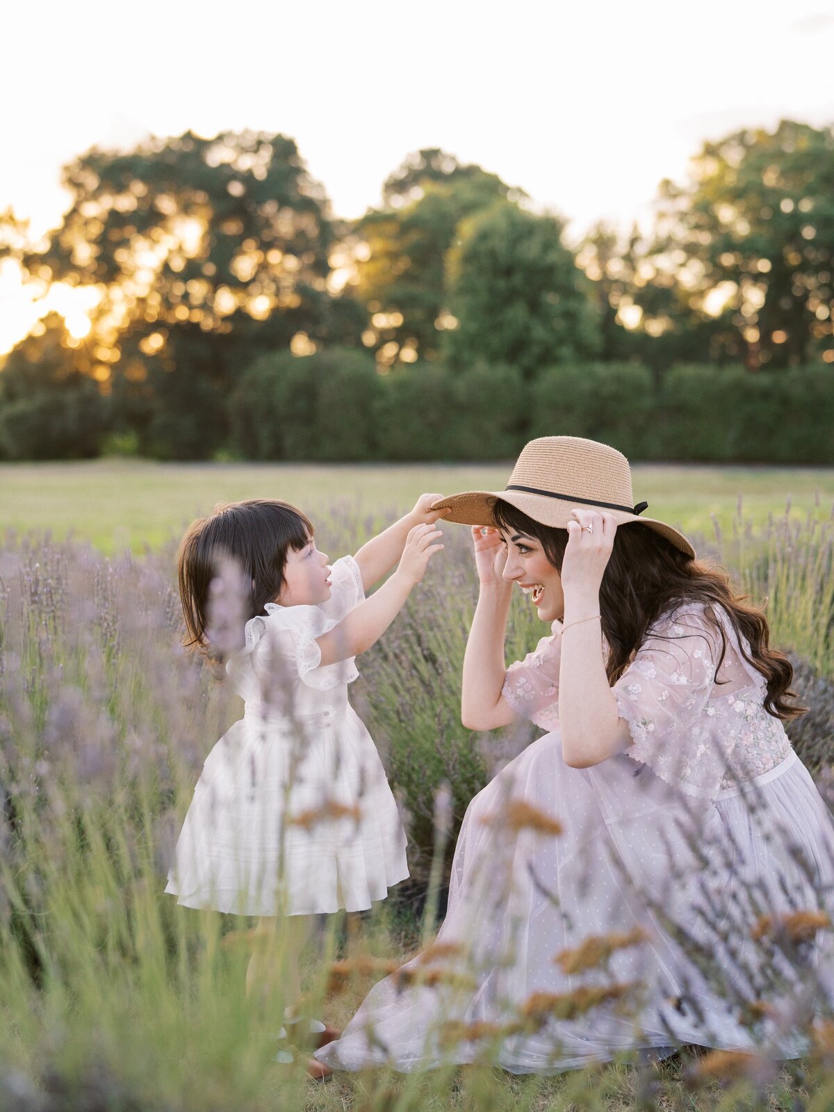 lavender field family photographer northern virginia