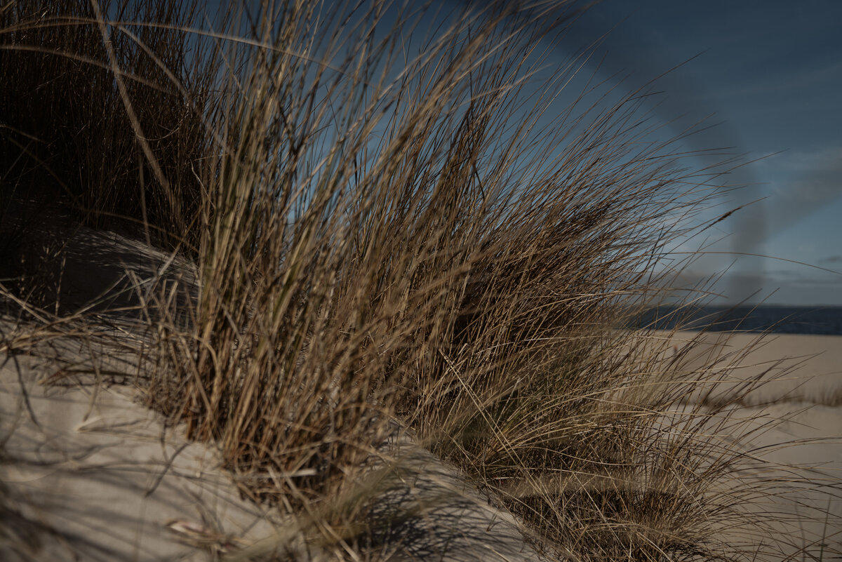 Texel Wedding-18