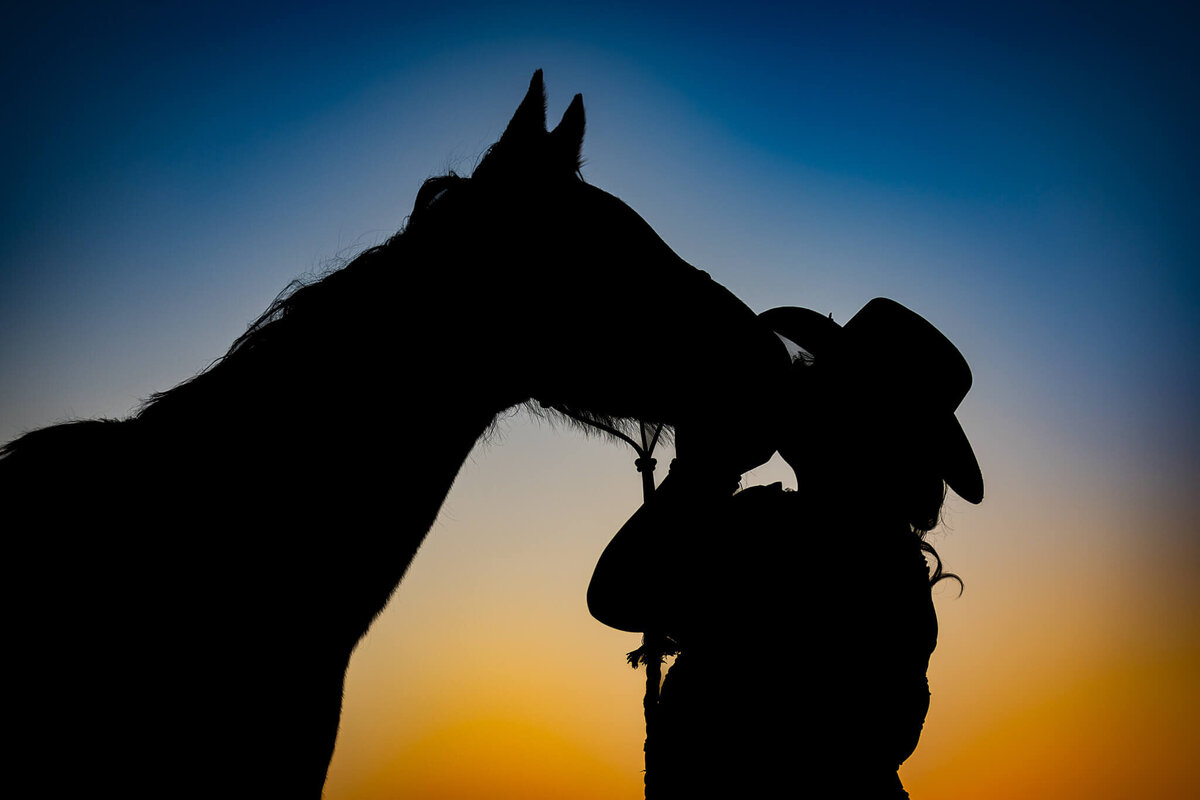 El-Paso-Texas-Horse-Photographer-064