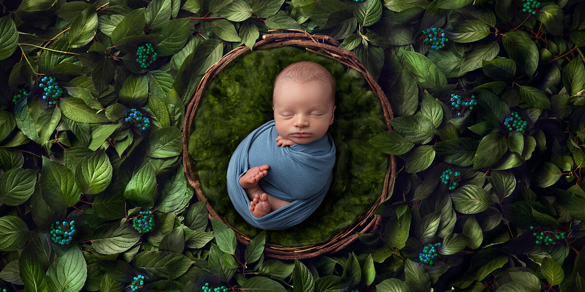 Newborn baby boy wrapped in a blue swaddle sleeping inside a rustic vine nest, surrounded by deep green leaves and berries.
