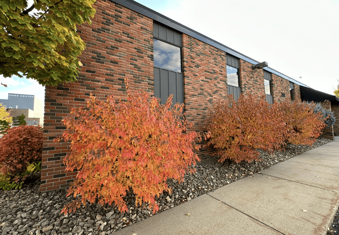 Charming brick office building in Heart of the City Burnsville with rentable office space.