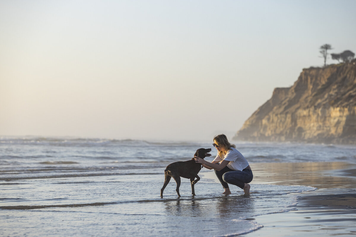 commercial pet photographer 10 copy