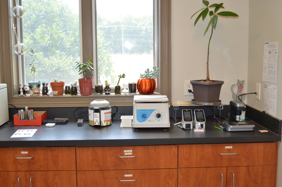 Lab