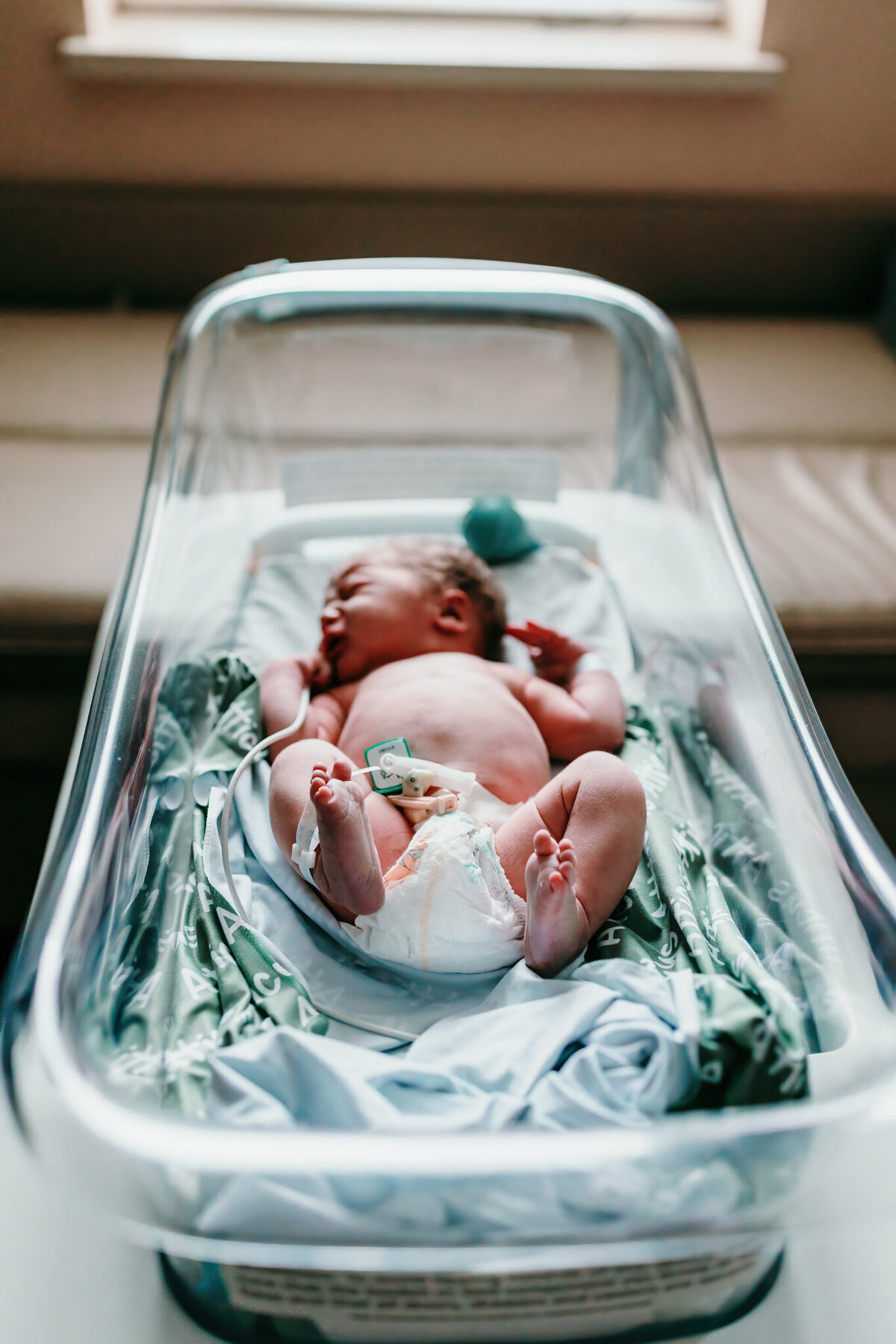 best NWA fresh 48 photography, fresh 48 photography near me, baby photographer NWA