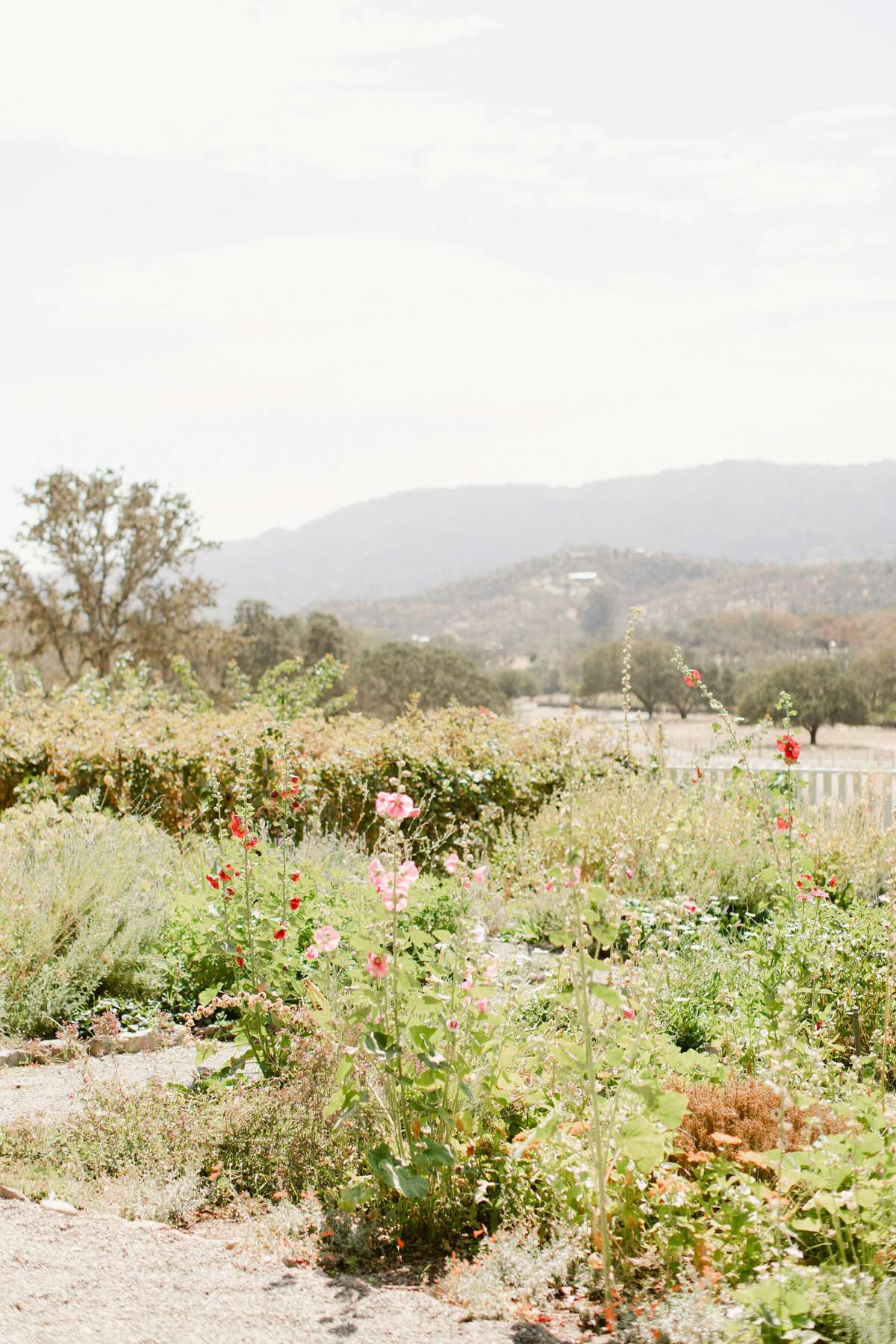 beltane-ranch-wedding-6