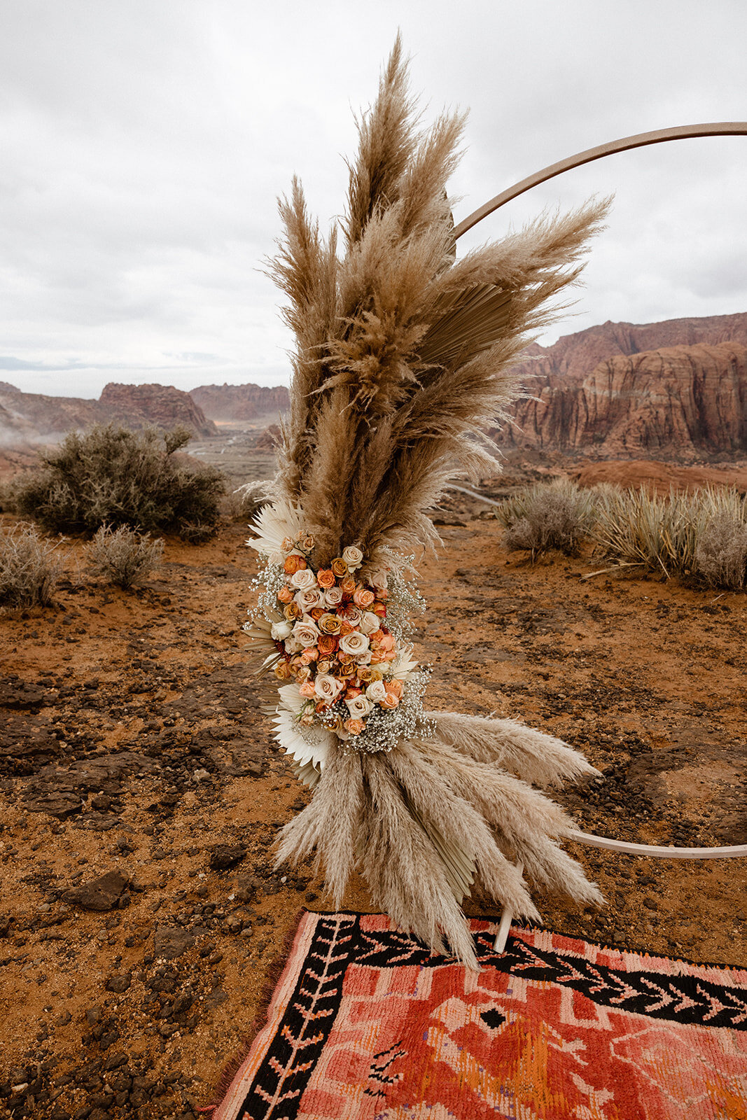 ZionSnowCanyon-dallinhassard-2225