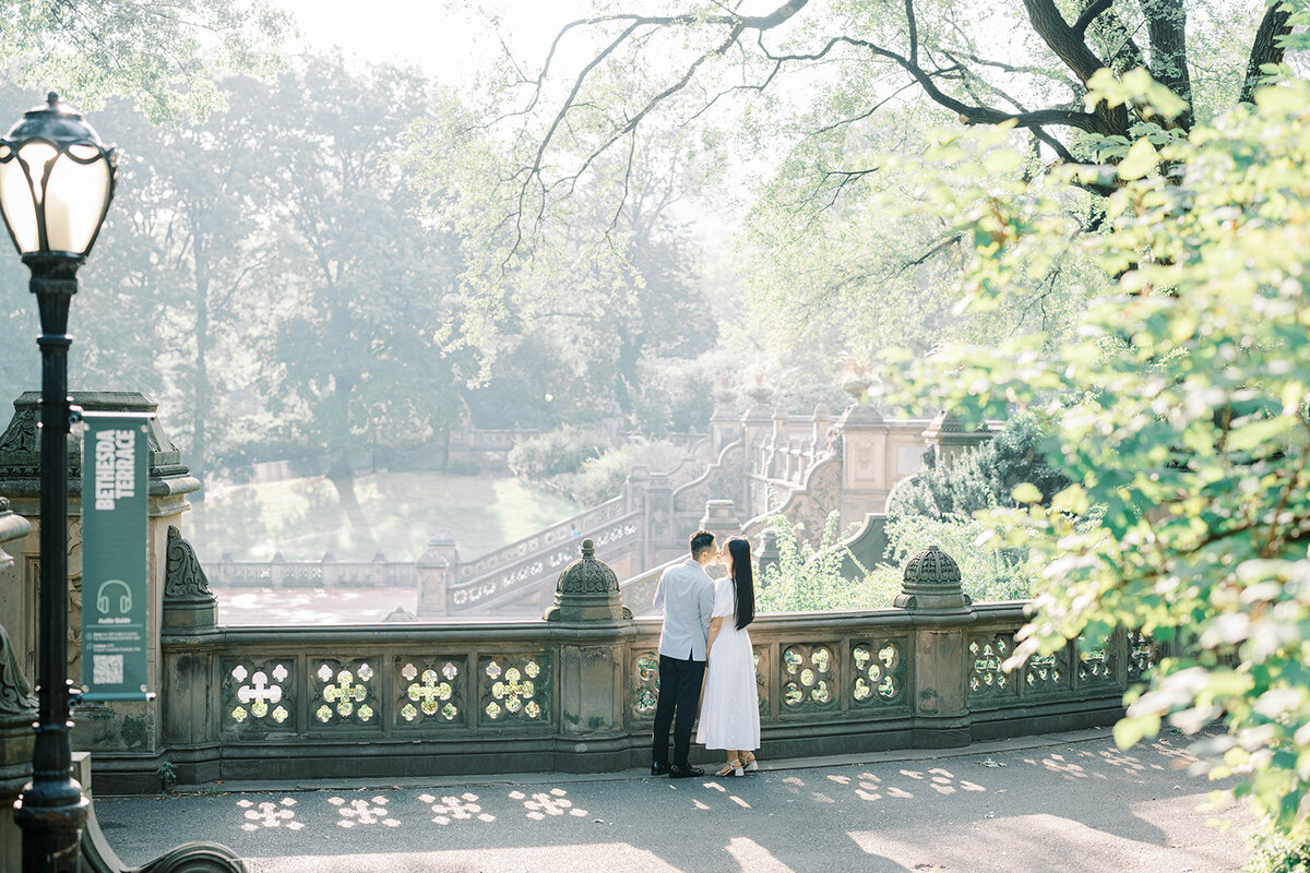 Central Park New York Engagement