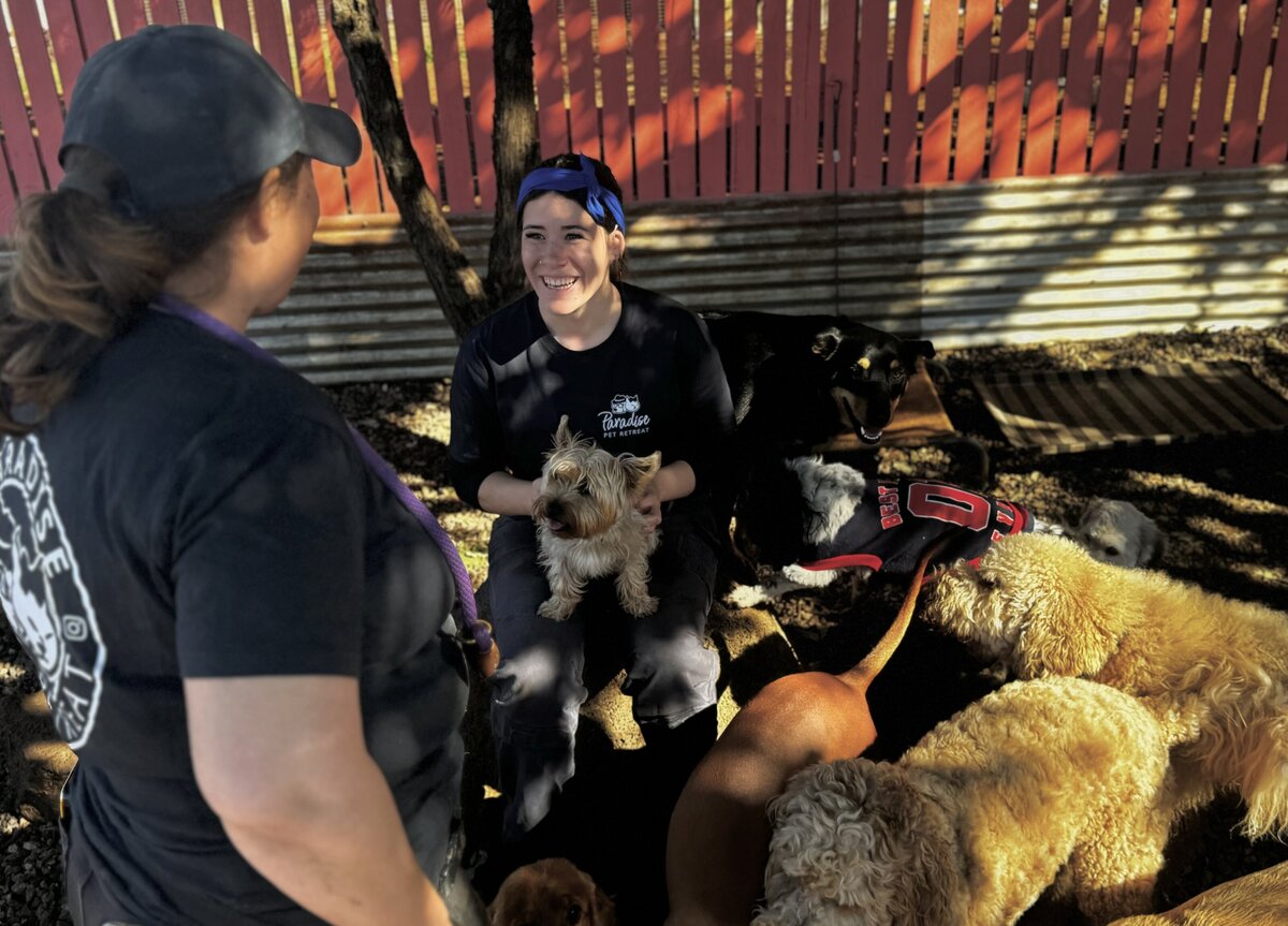 Doggy Daycare Toowoomba