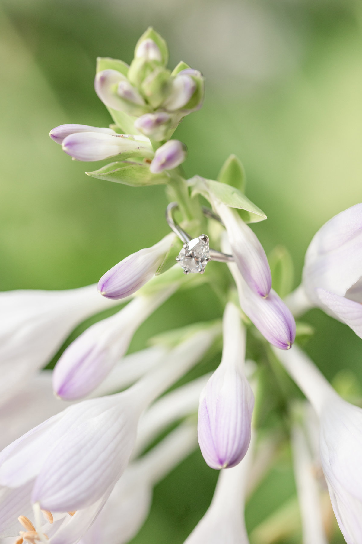 Brianna and Tommy_0045