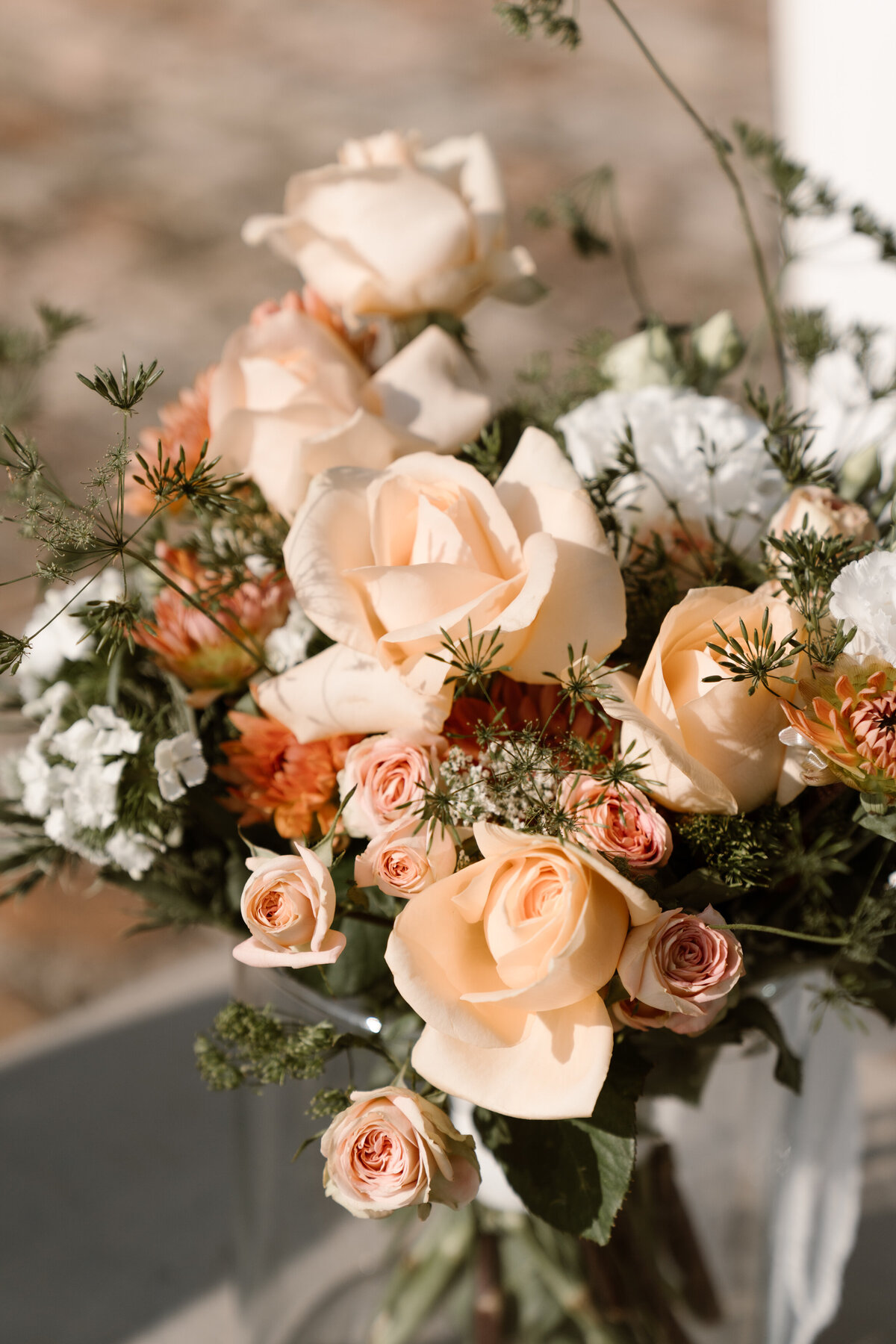 MonicaRomanielloPhotography -7403306