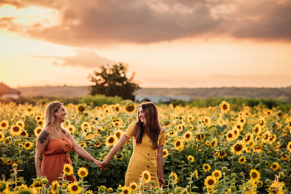 Sunflower-6