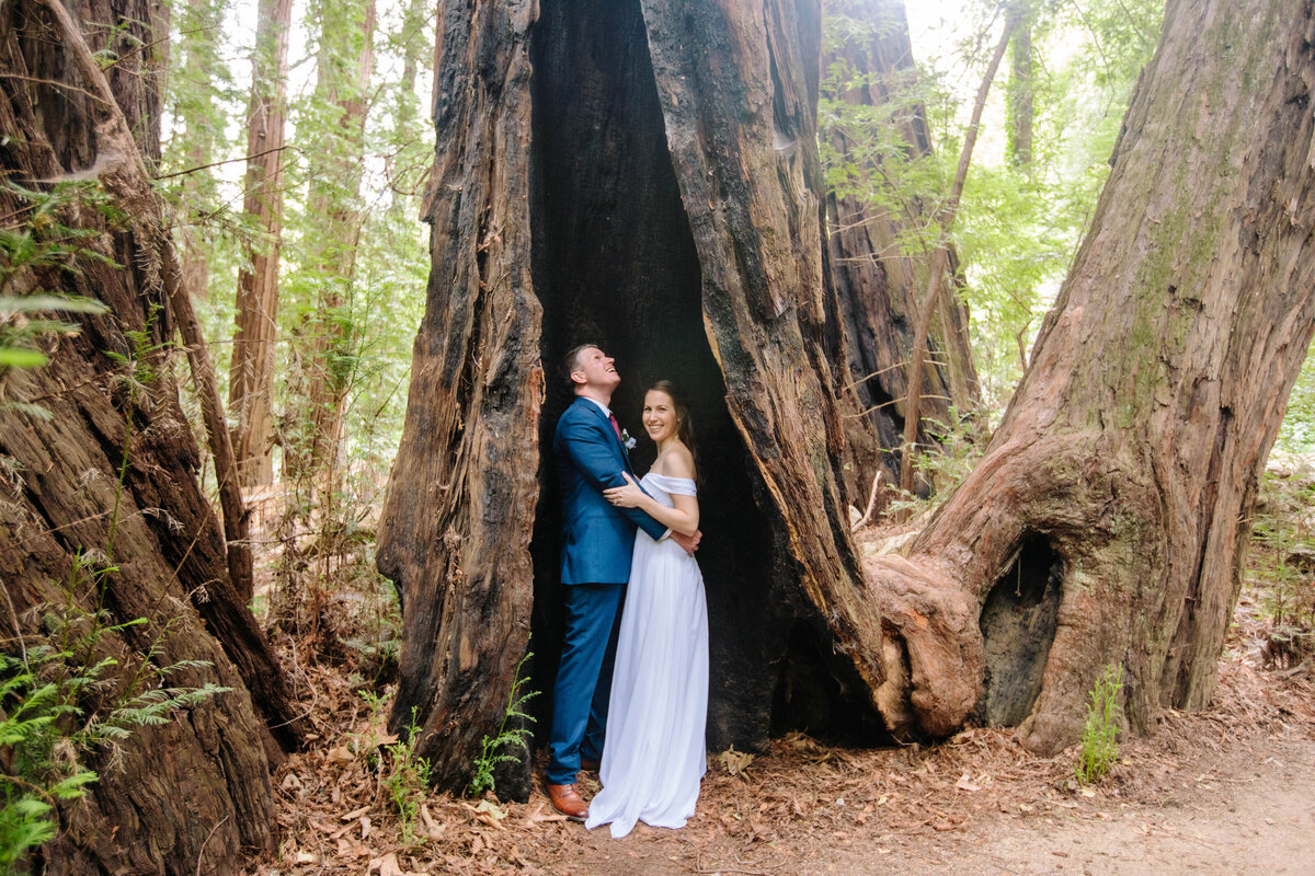Bride and groom inside of large tree during their California bay area elopement