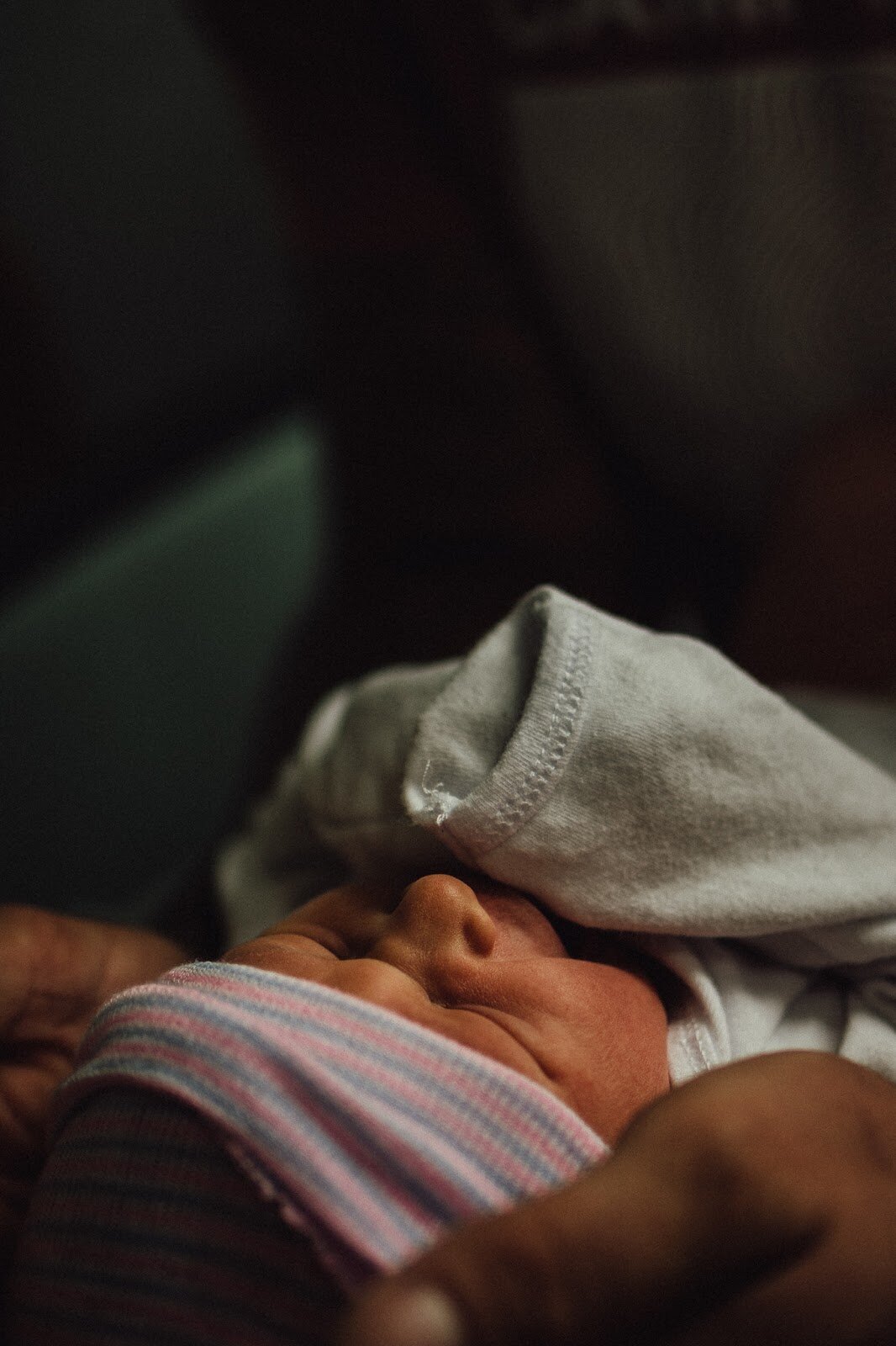 Beneath the Trees Photography Michigan Newborn Photographer 2