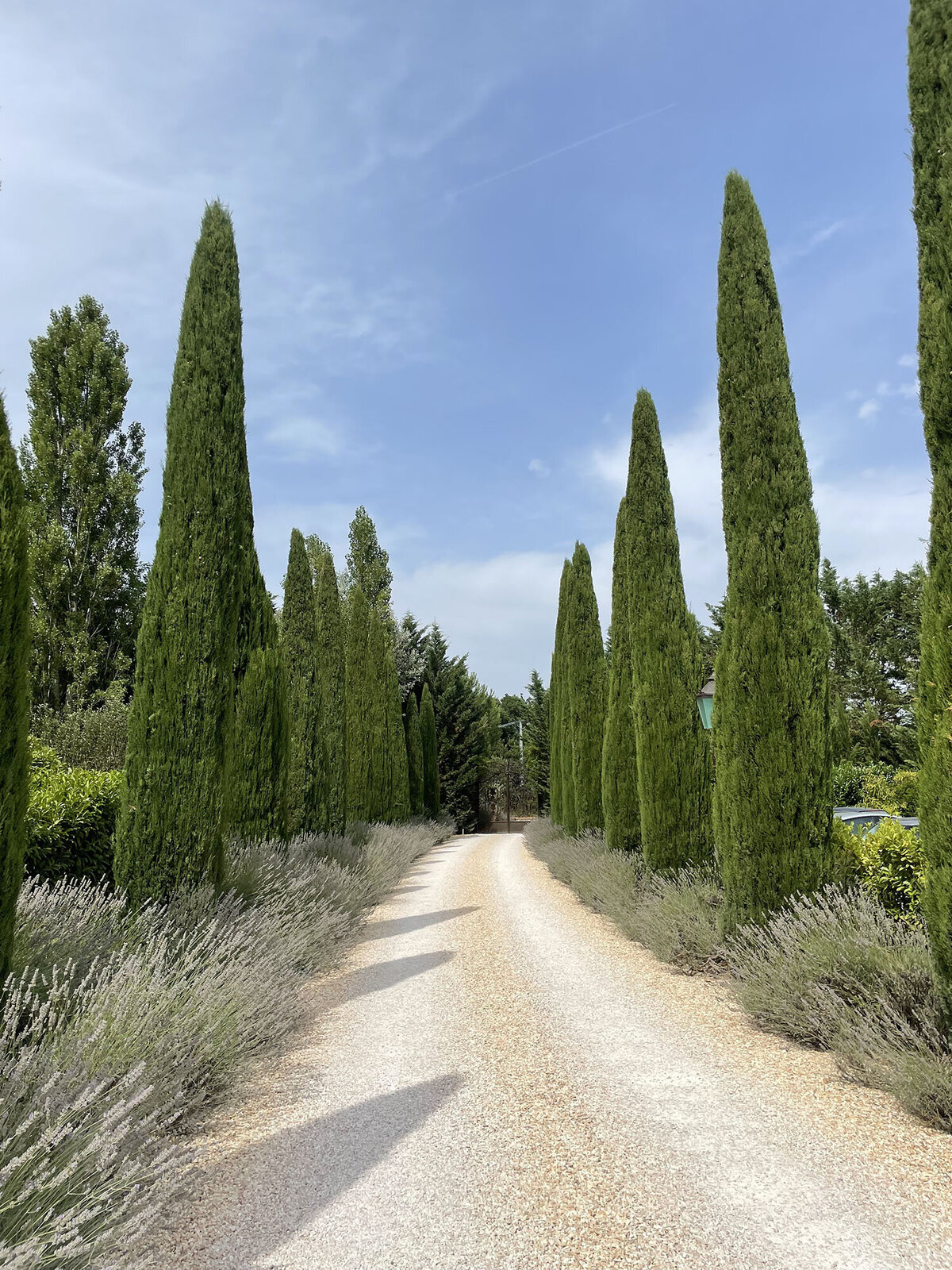 Borgo-Santo-Pietro-Willow-and-Oak-Events-BTS-70