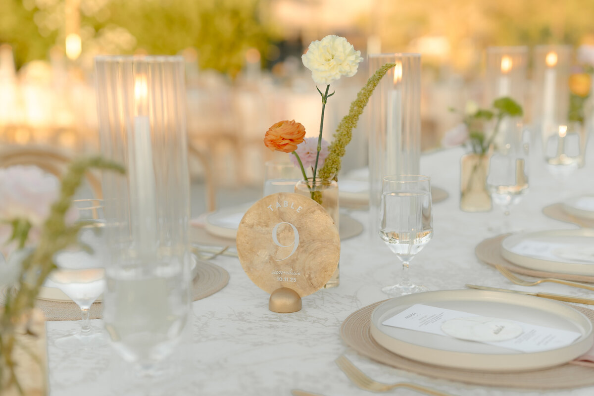 wedding photographers palm desert ca 125