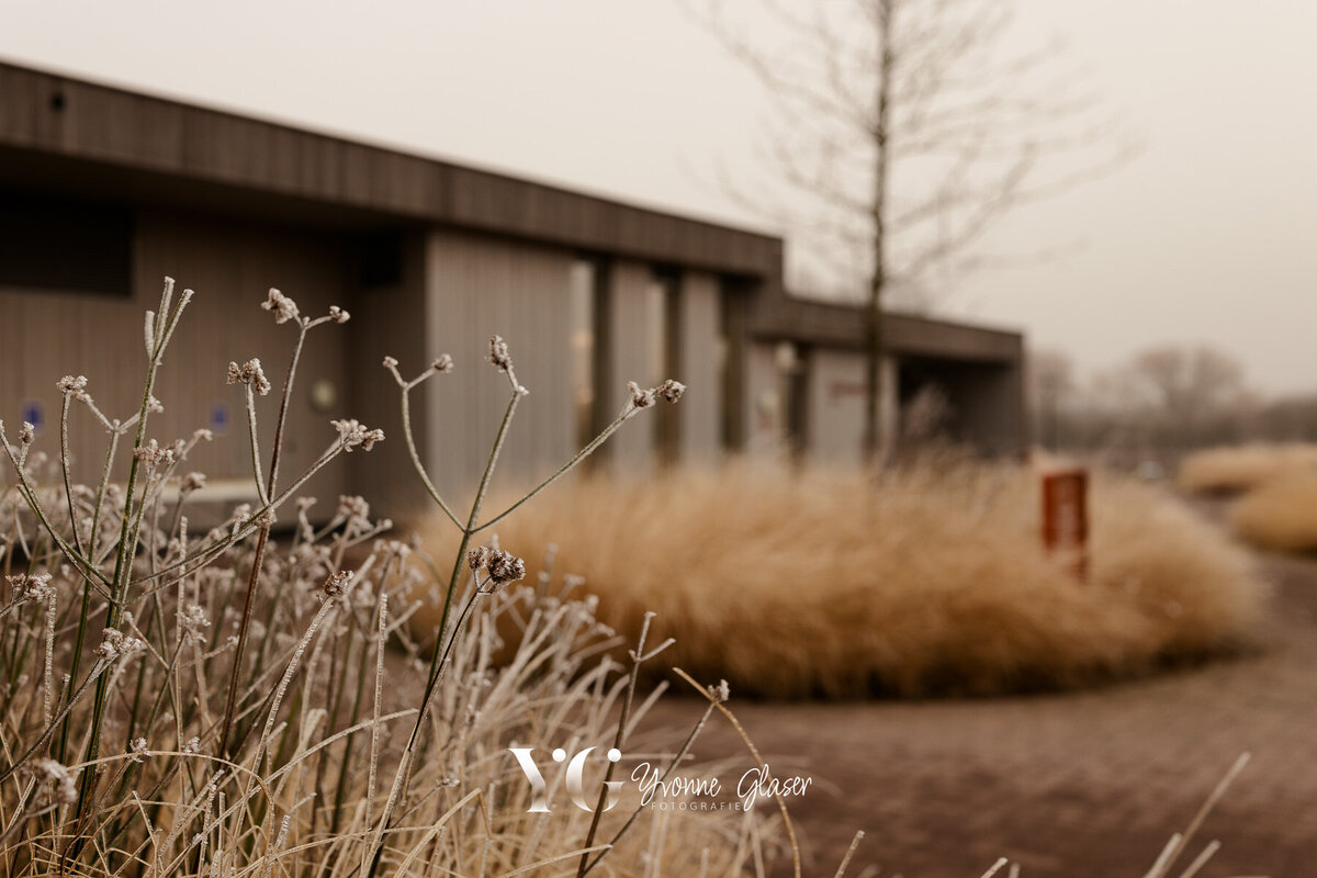 Yvonne Glaser Fotografie - socials- dela-