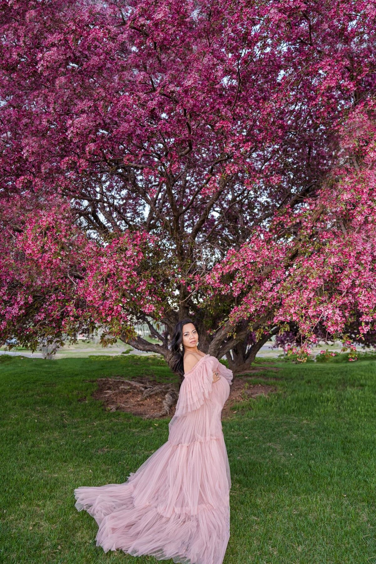 maternity photography springtime colorado