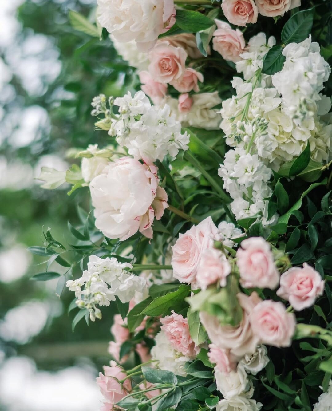 Screenshot_20251028-072125_Instagram