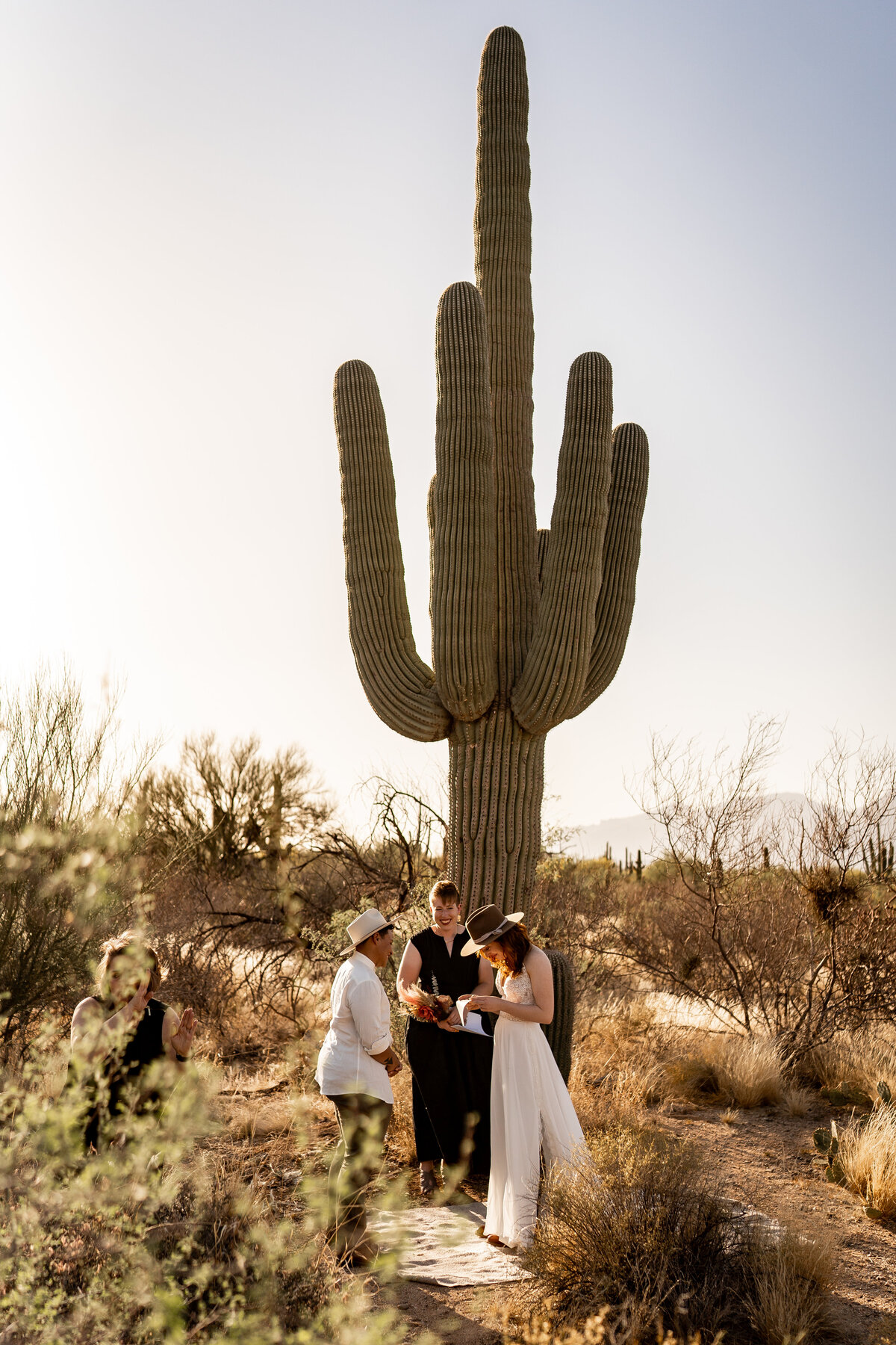 saguaro national park tucson arizona elopement photography (4)