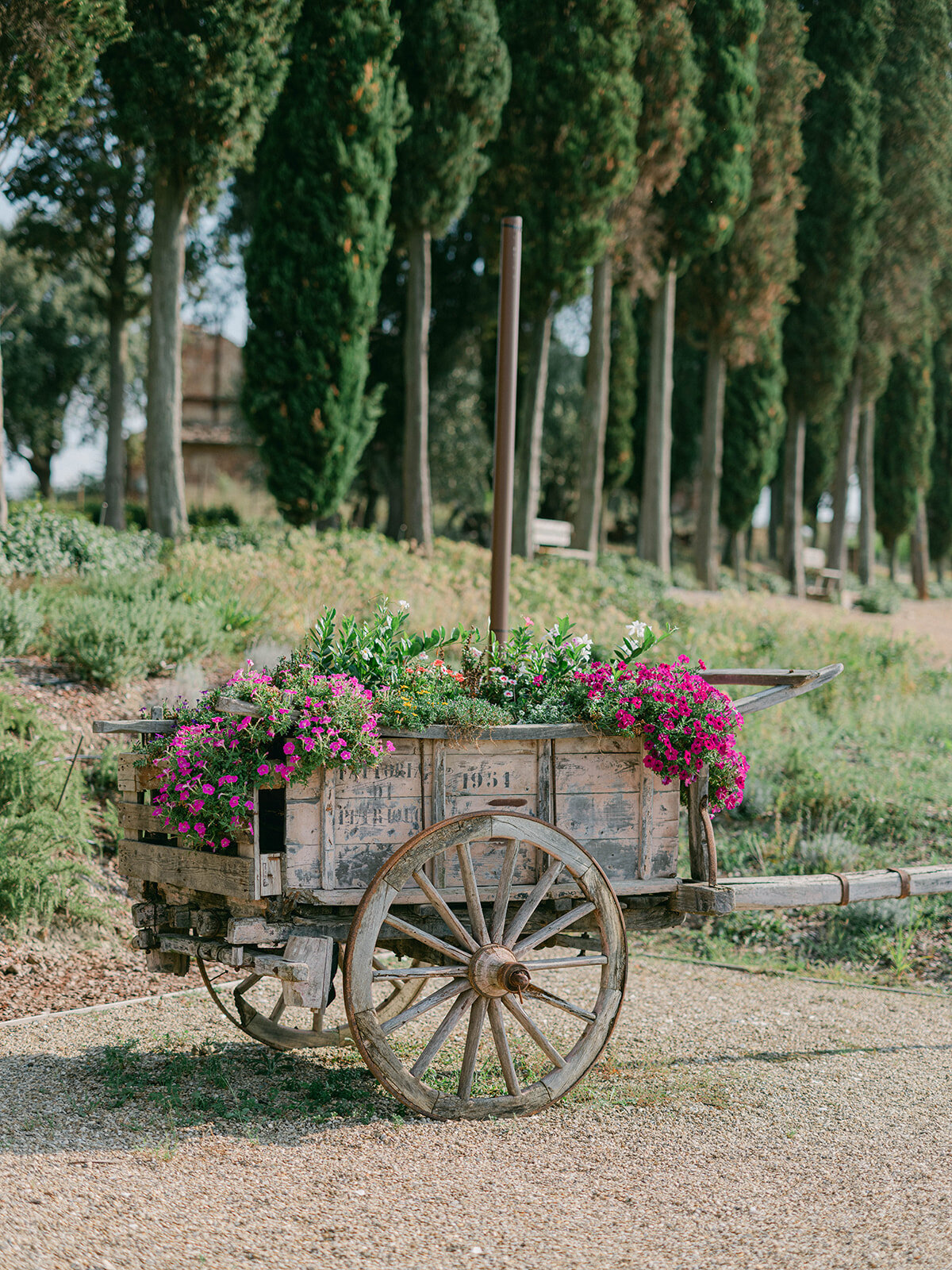 tuscany-wedding-thomas-audiffren (6)