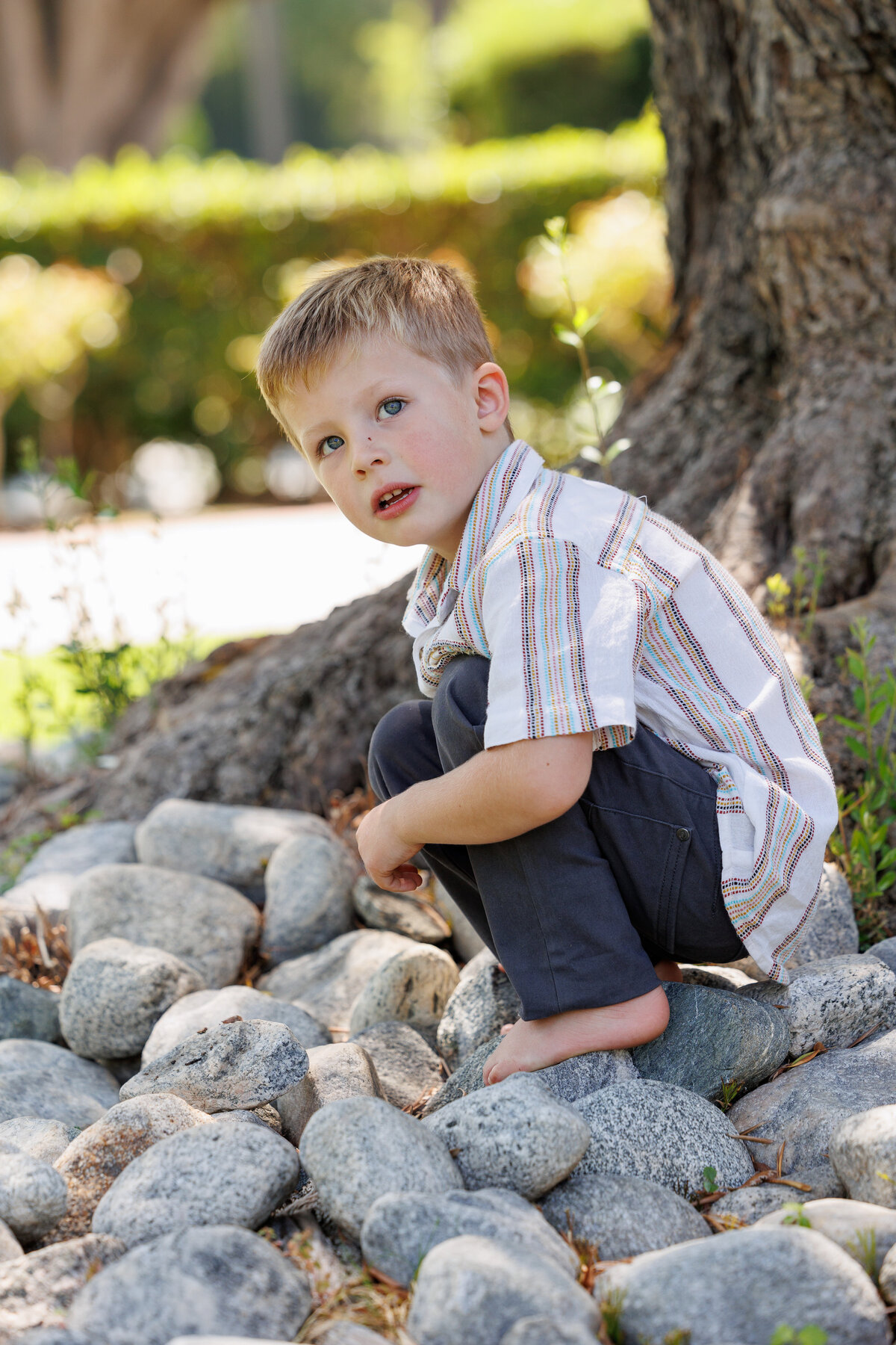Boy near a tree