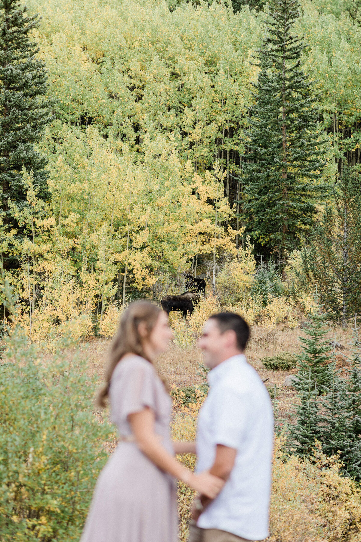 K+N_Colorado_Fall_Mountain_Engagement_Session_with_Diana_Coulter-10