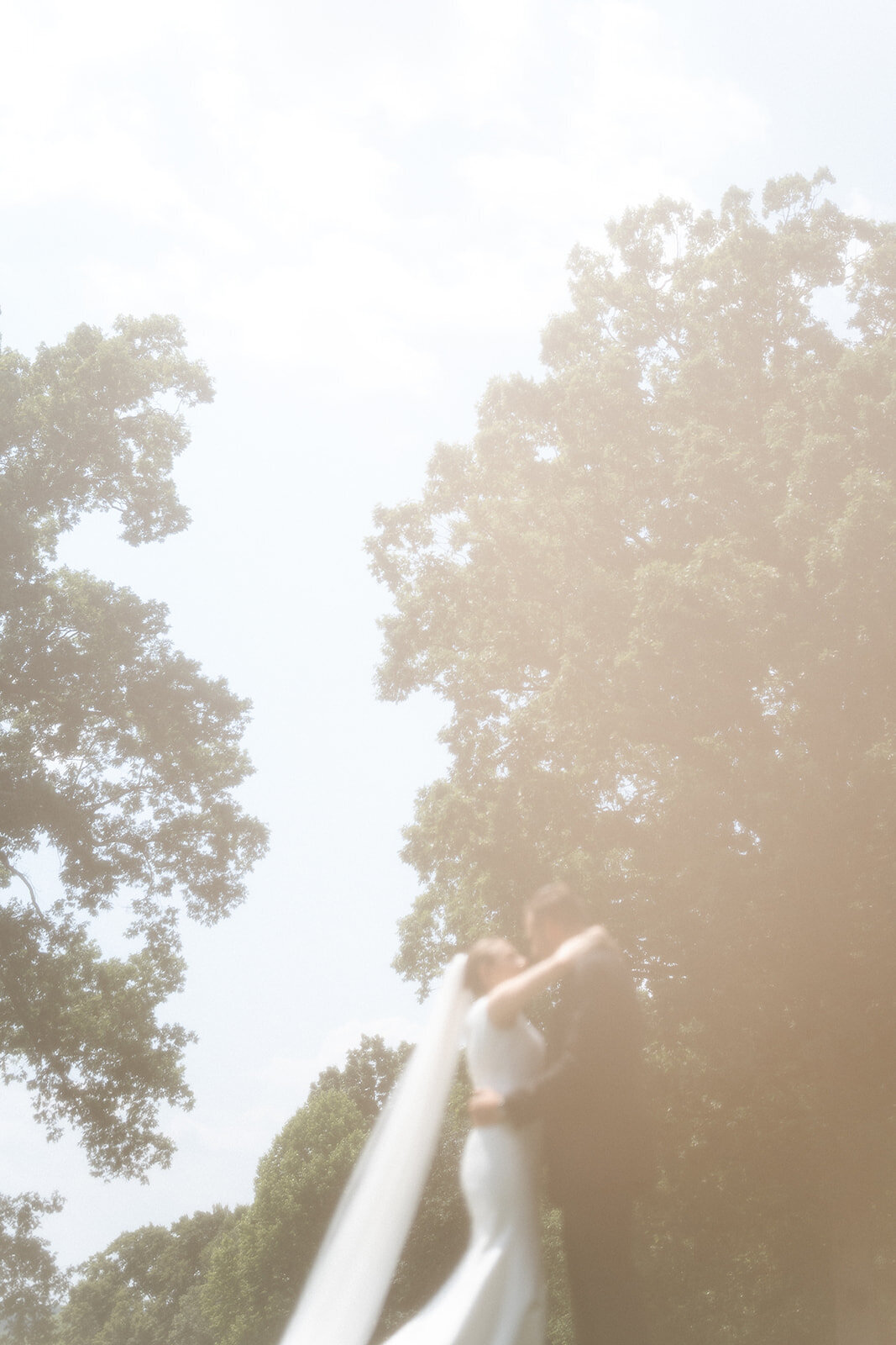 Hannah Malloy Virginia Wedding and Family Photographer