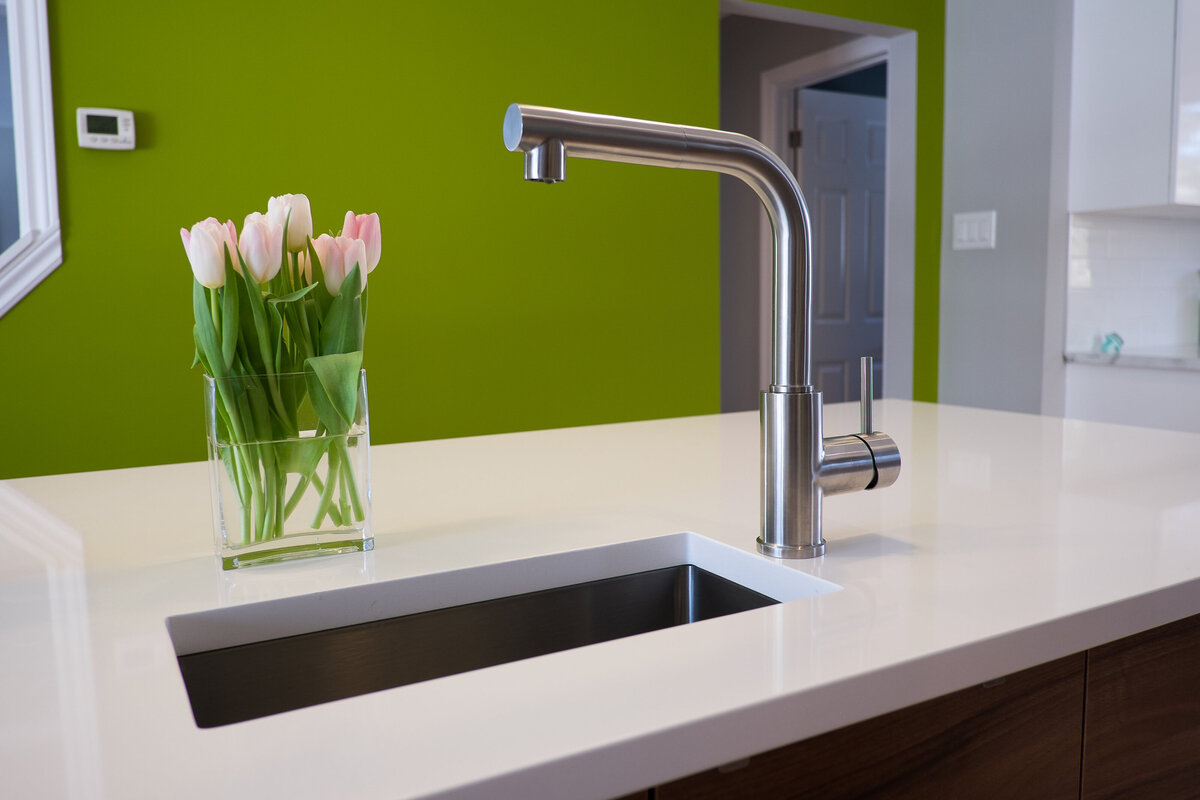 MCM Designer Kitchen Remodel Alta Vista (14)