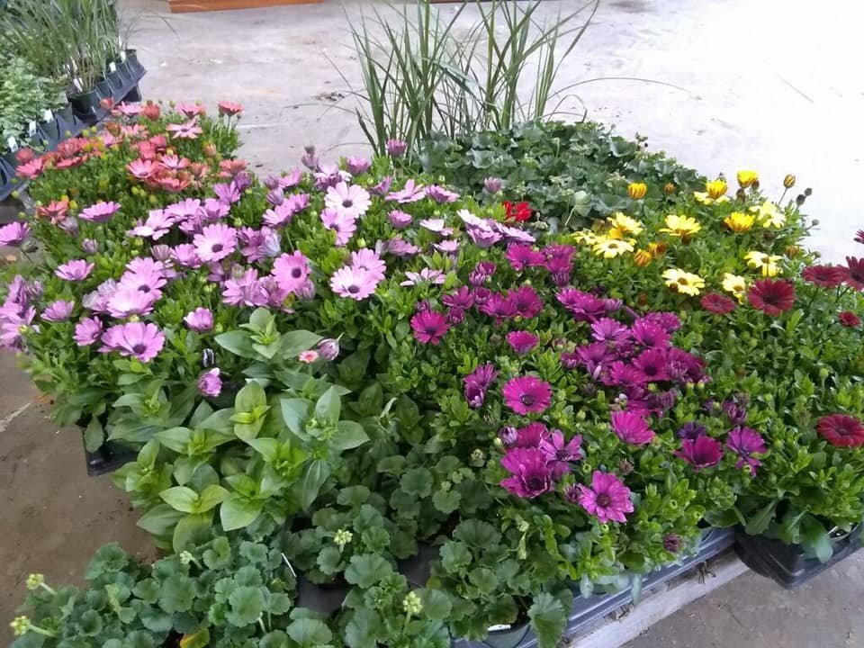 Farmhouse Style Decorating In Swanzey, NH The She Shed