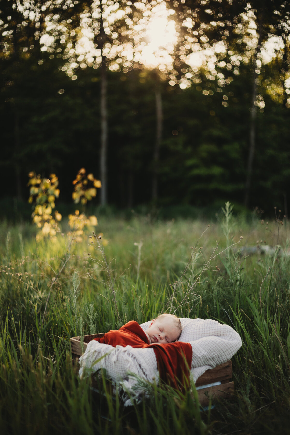 newborn session