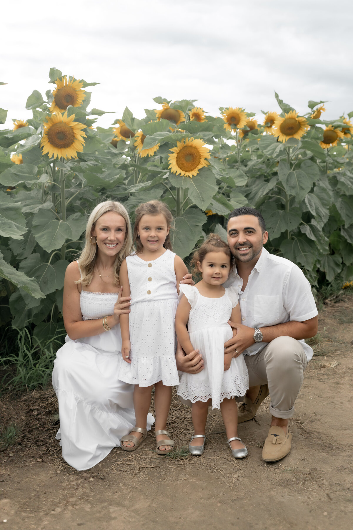 Sunflower Minis - Nadine-2