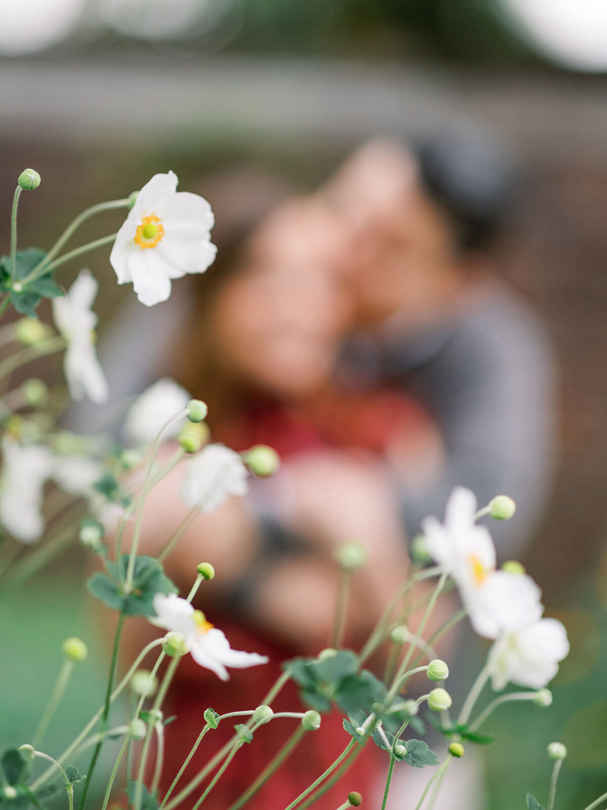 anne-troxel-pittsburgh-wedding-photography-mellon-park-engagement-photos-lgbtq-light-and-airy-52