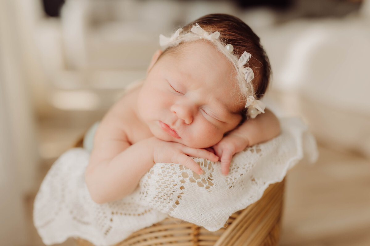 Louisville Kentucky Newborn Photographer