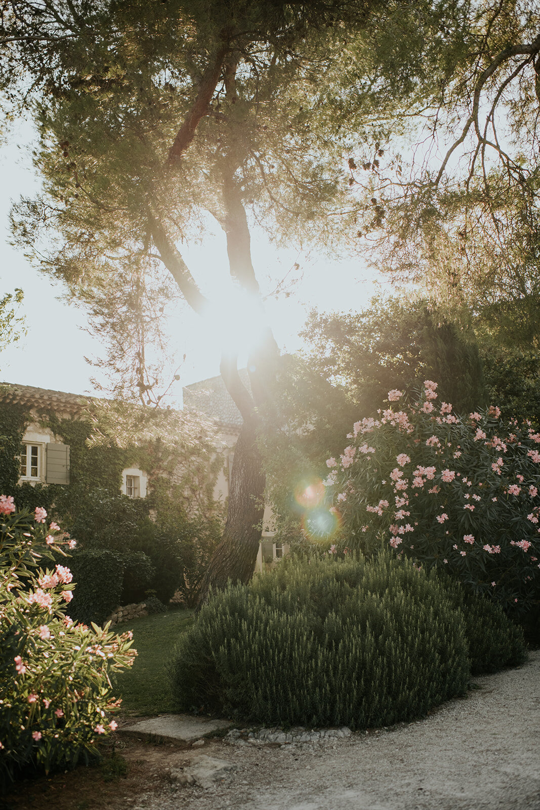 Vanessa+Daniel.Married.TonieChristinePhotography-746_websize