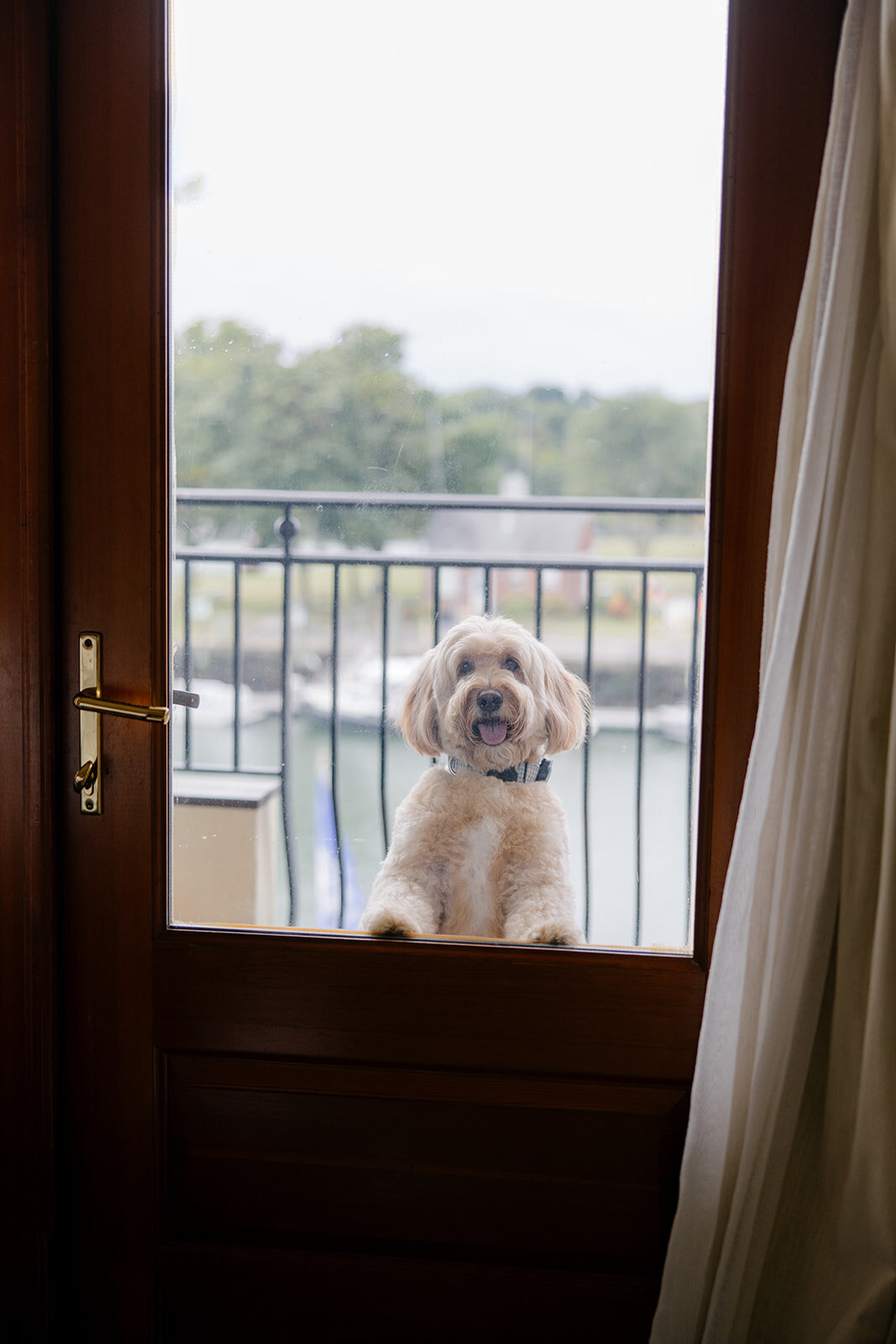 blue-hill-stone-barns-wedding-sava-weddings-nyc-wedding-photographer-201