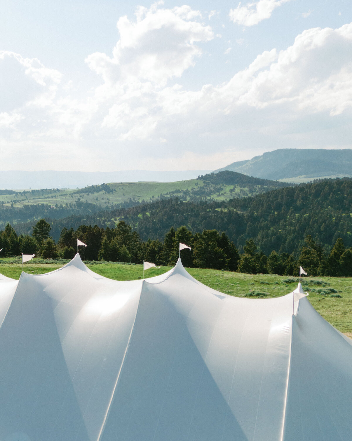 Kelley & Josh - Website Highlights-134