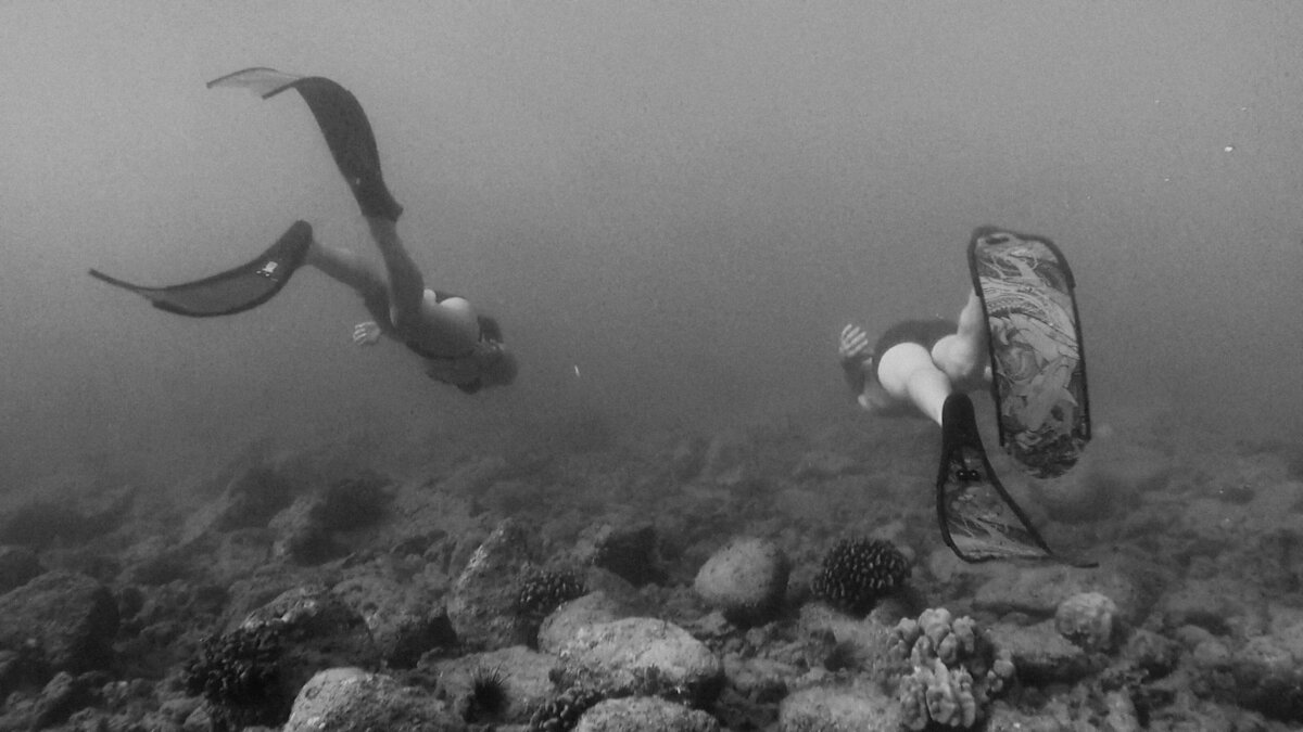 underwater-swimming-kauai-couples-session-thru-loves-lens