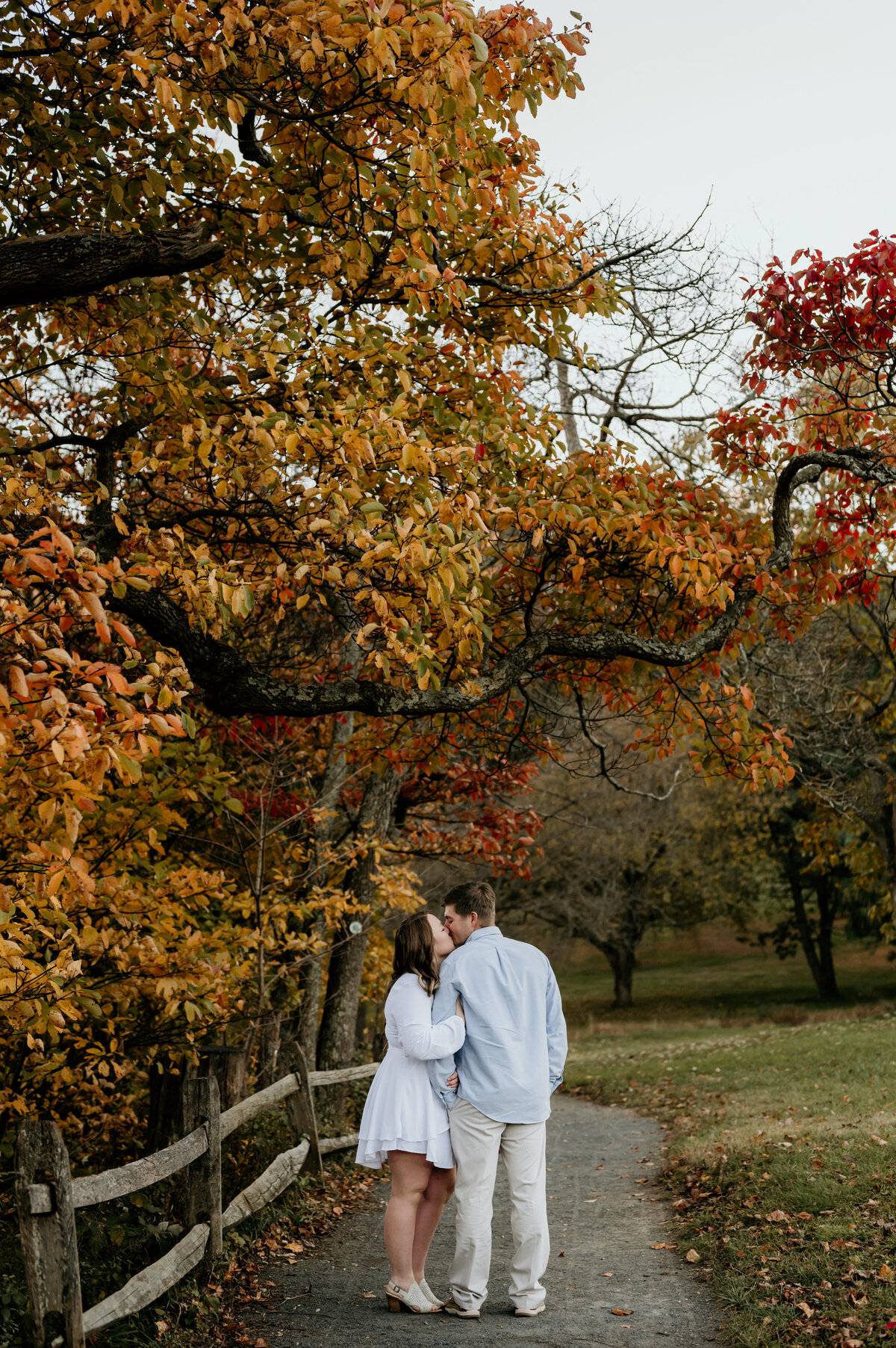 holmdel park-66