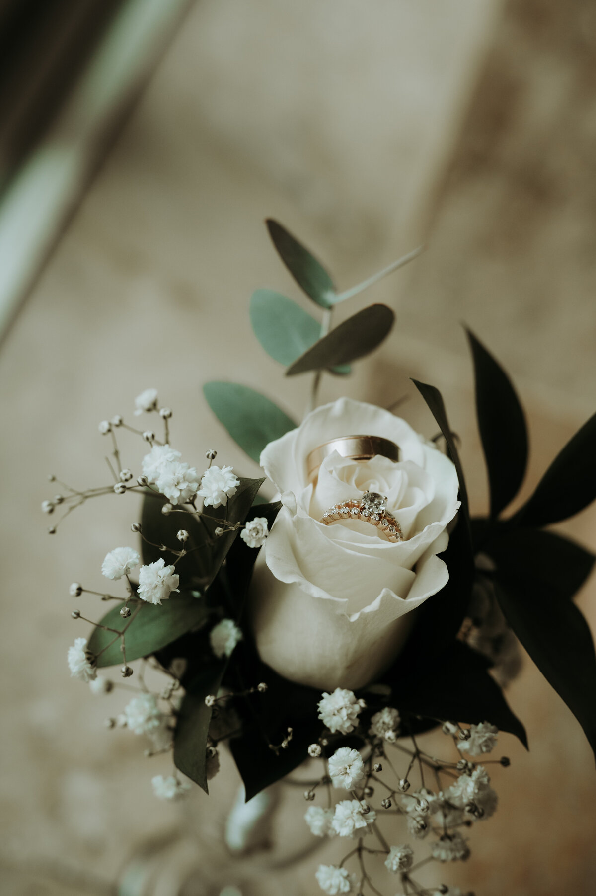 ZettelPhotography-1046