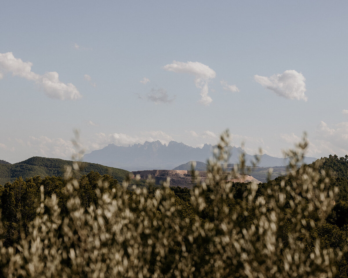 Sofia & James - Wedding Day PREVIEW-10_websize