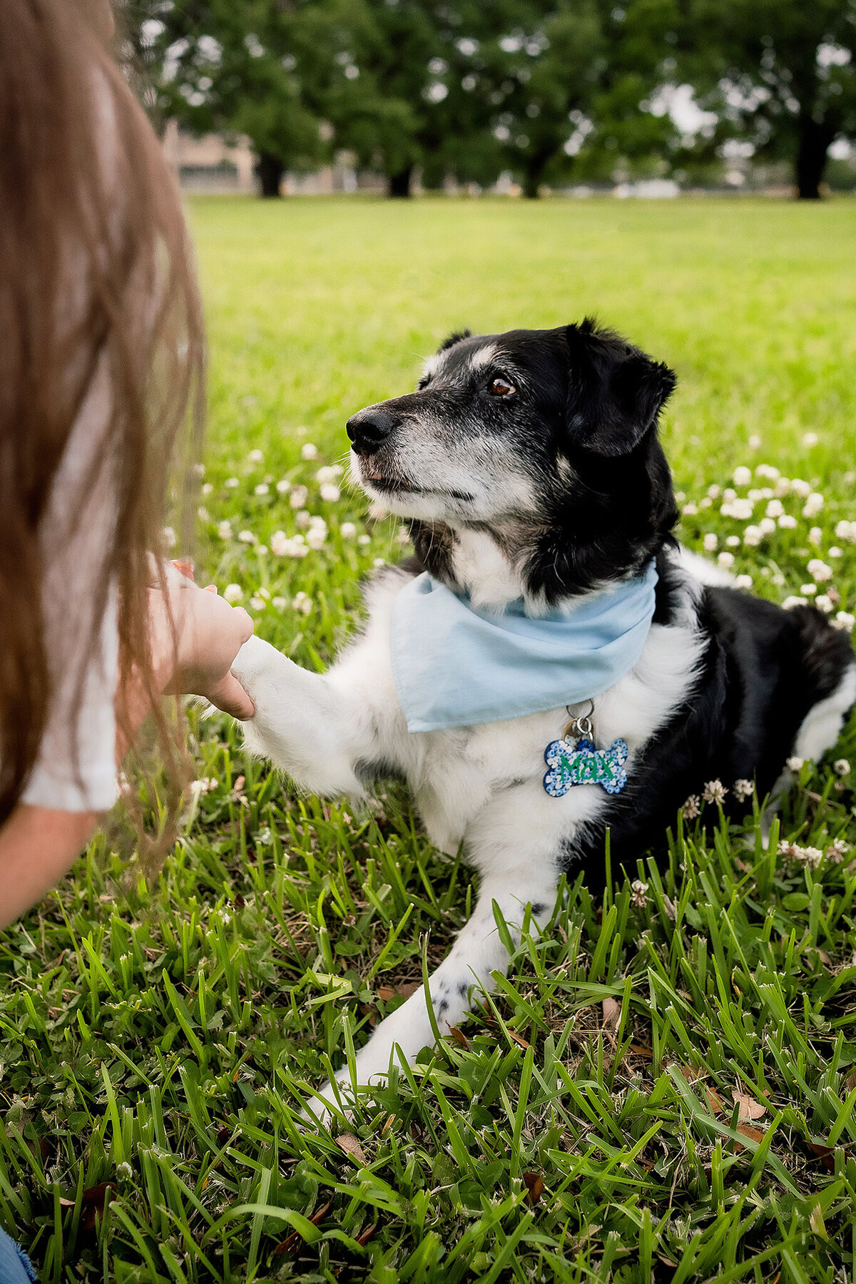 New Orleans Pet Photographer 22