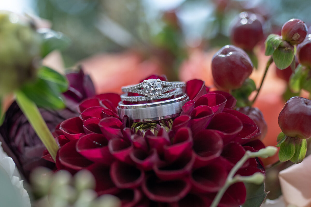 CCLittleShutterBugStudio-63