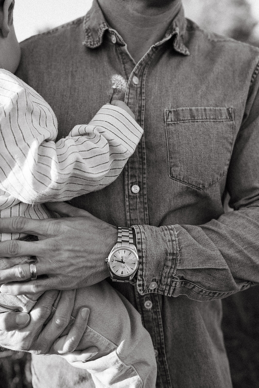 Close-up of young child holding a dandelion while being held in dad’s arms during a documentary family session