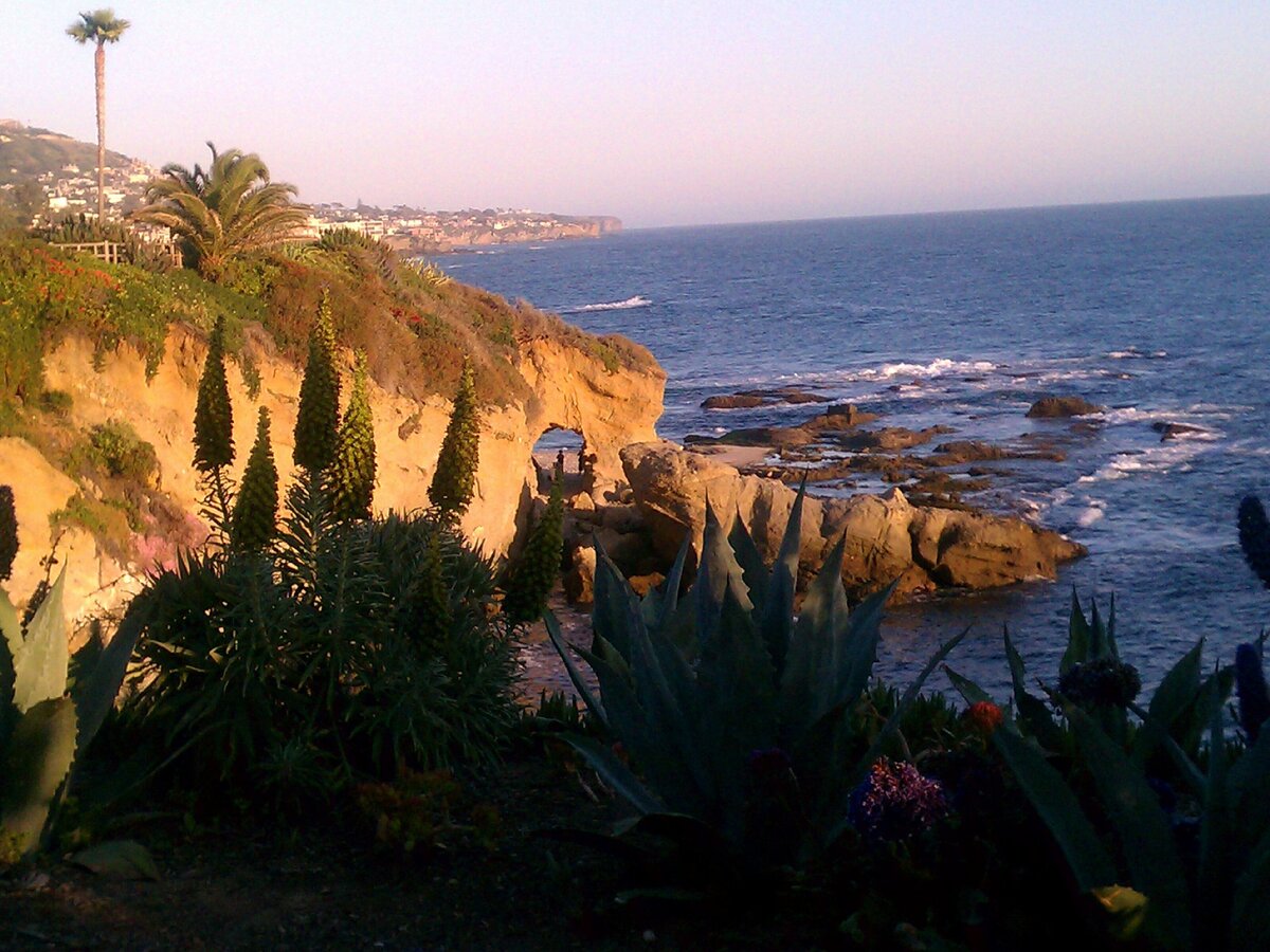 IMAG0215