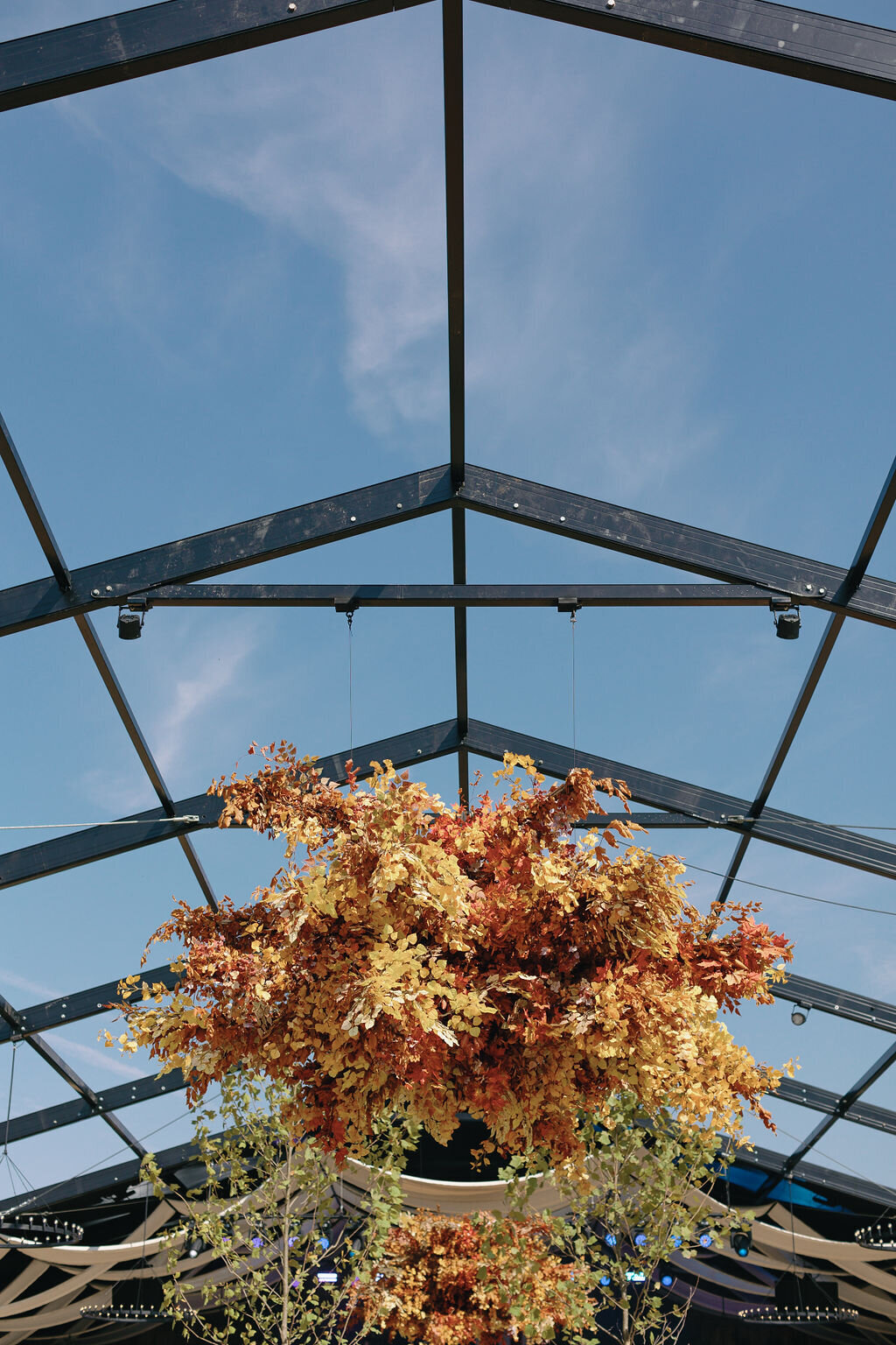 Special-Event-Planner-Bluegrass-Music-Festival-Virginia-0025