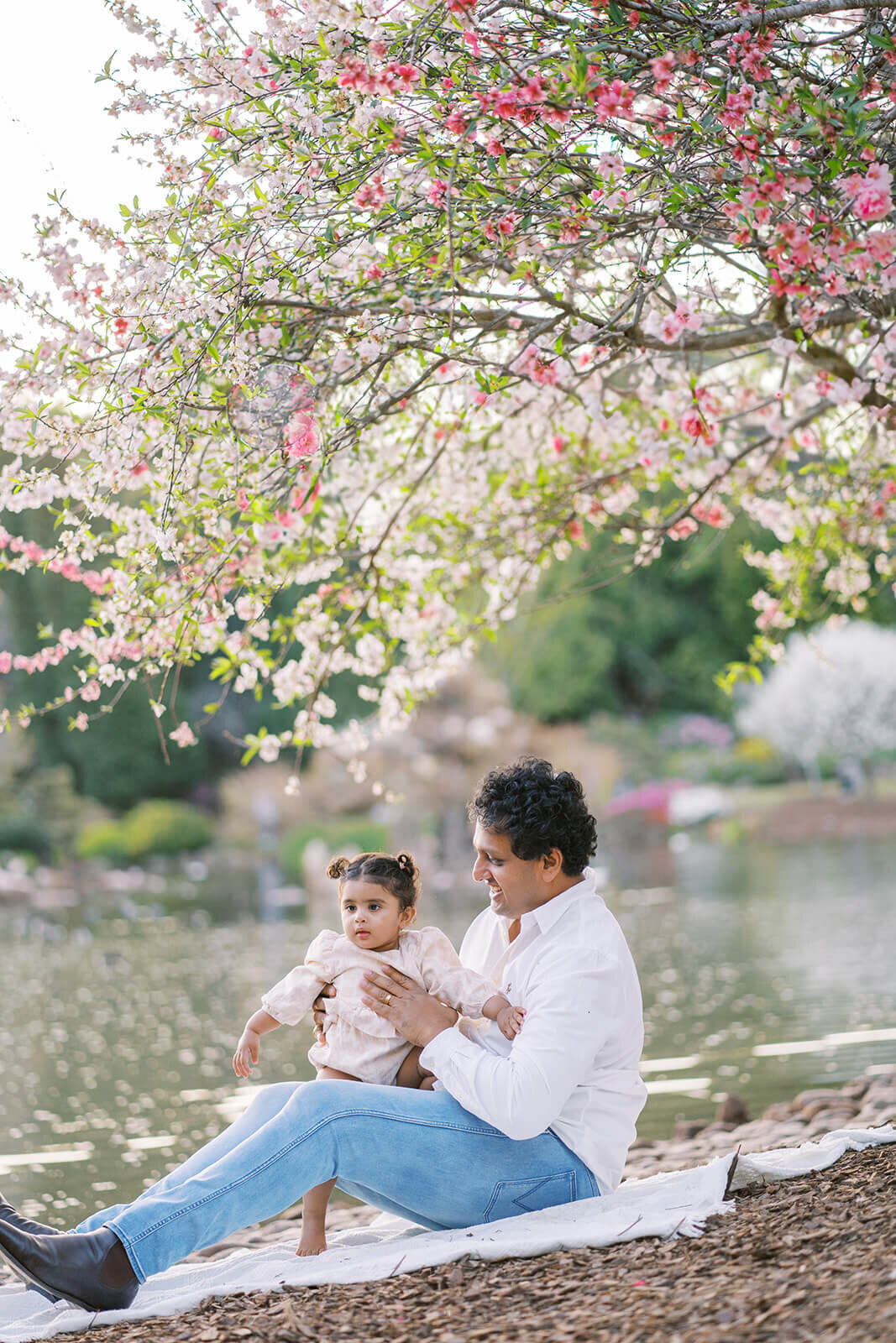 Father holding daughter in Gold Coast botanic garden under cherry blossom tree.